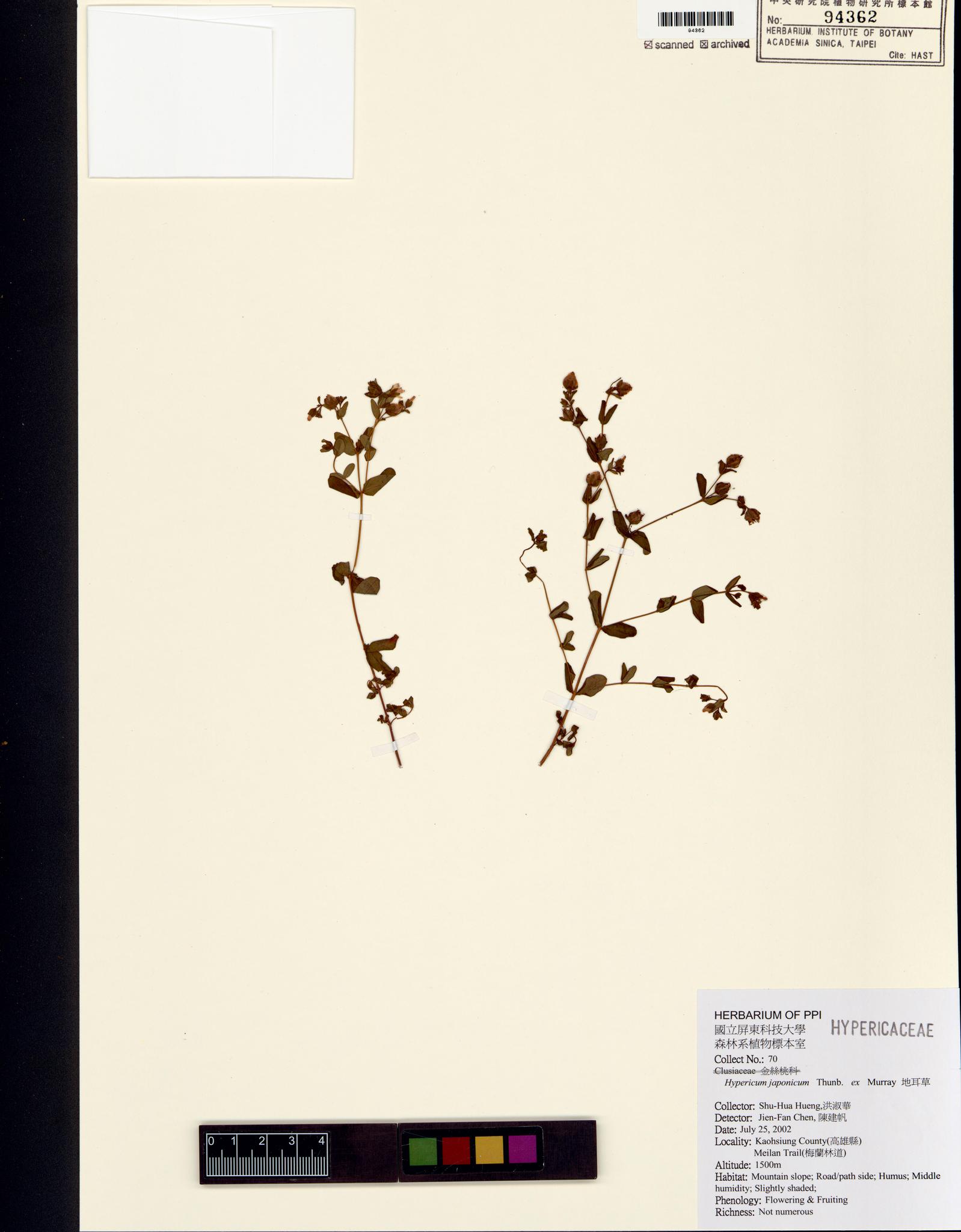 Sample image for viewer