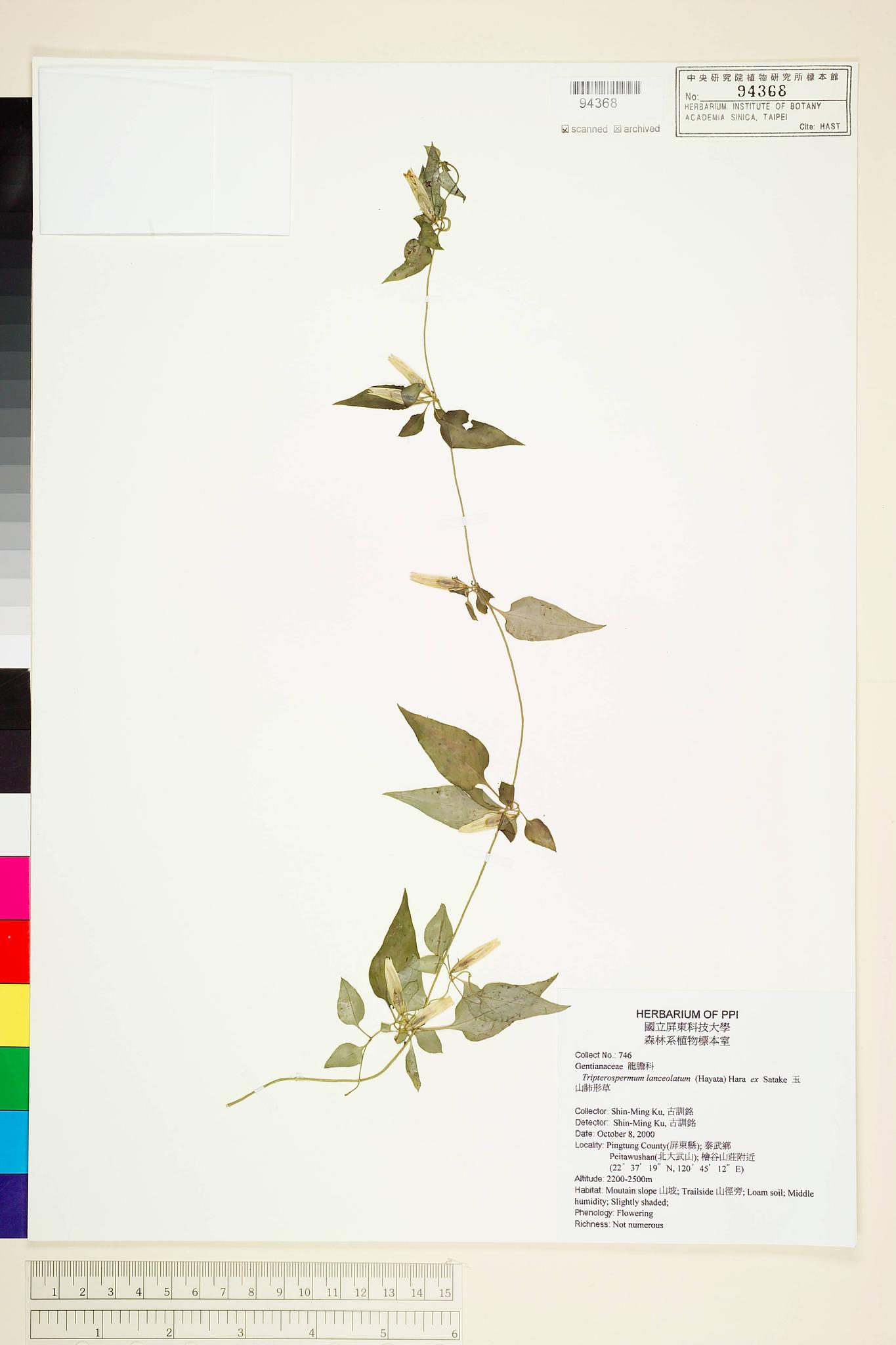 Sample image for viewer