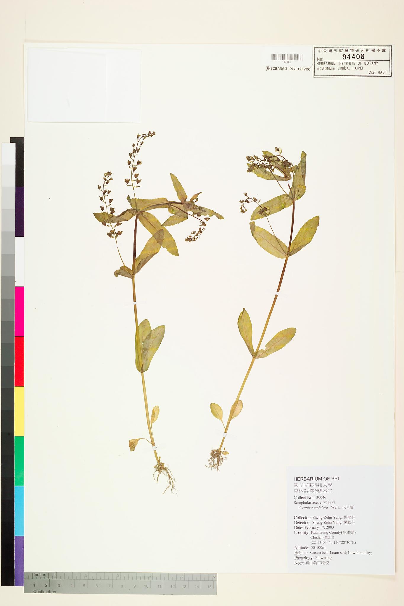 Sample image for viewer