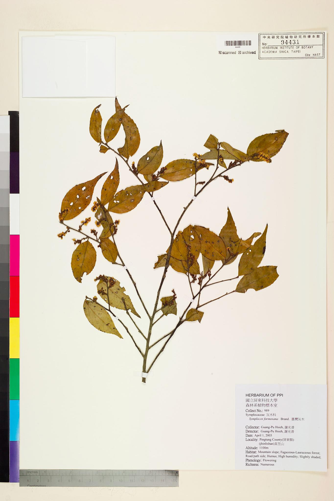 Sample image for viewer