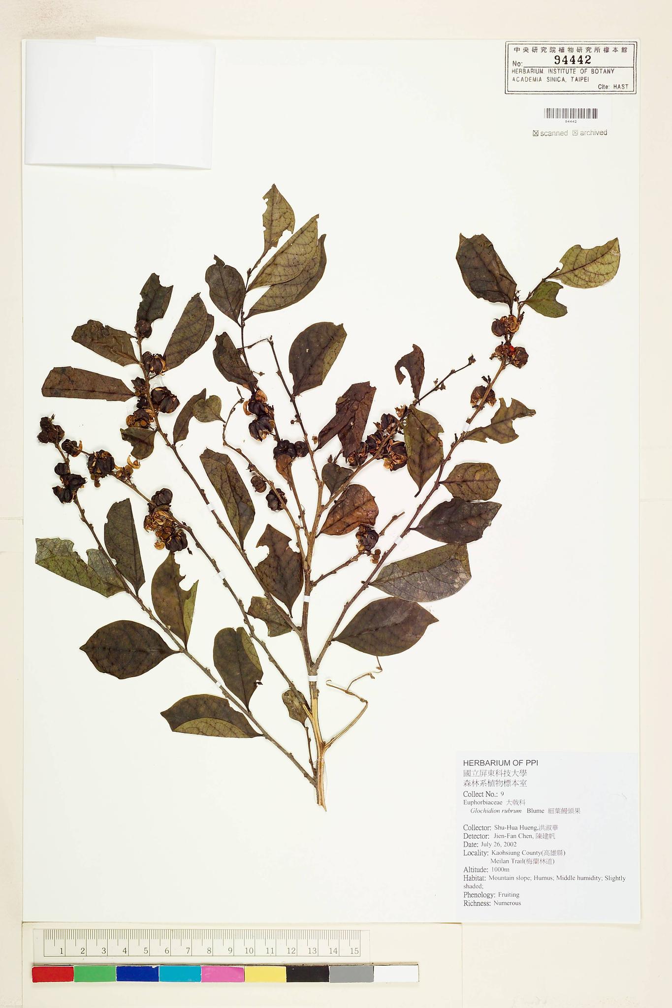 Sample image for viewer