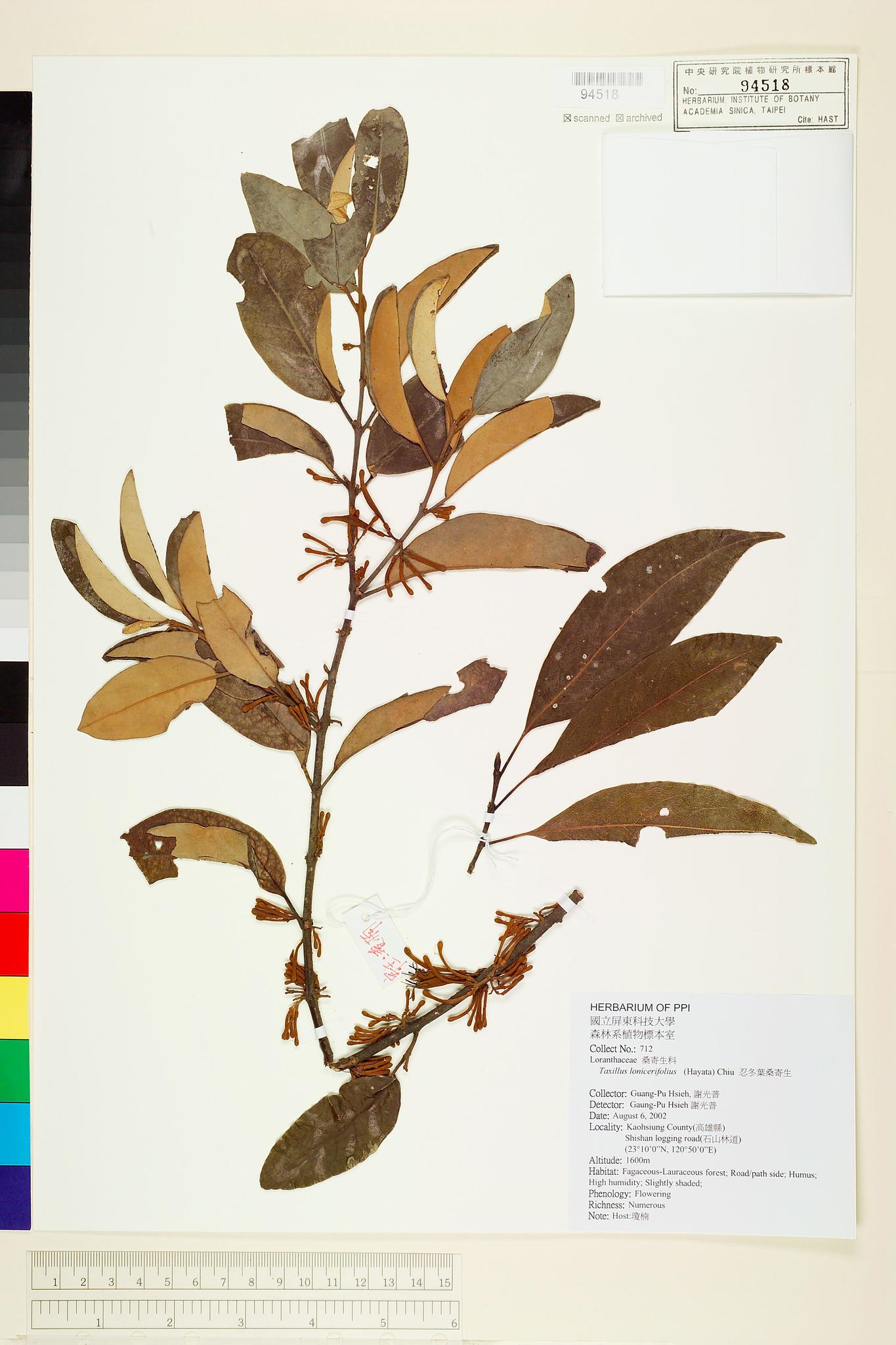 Sample image for viewer