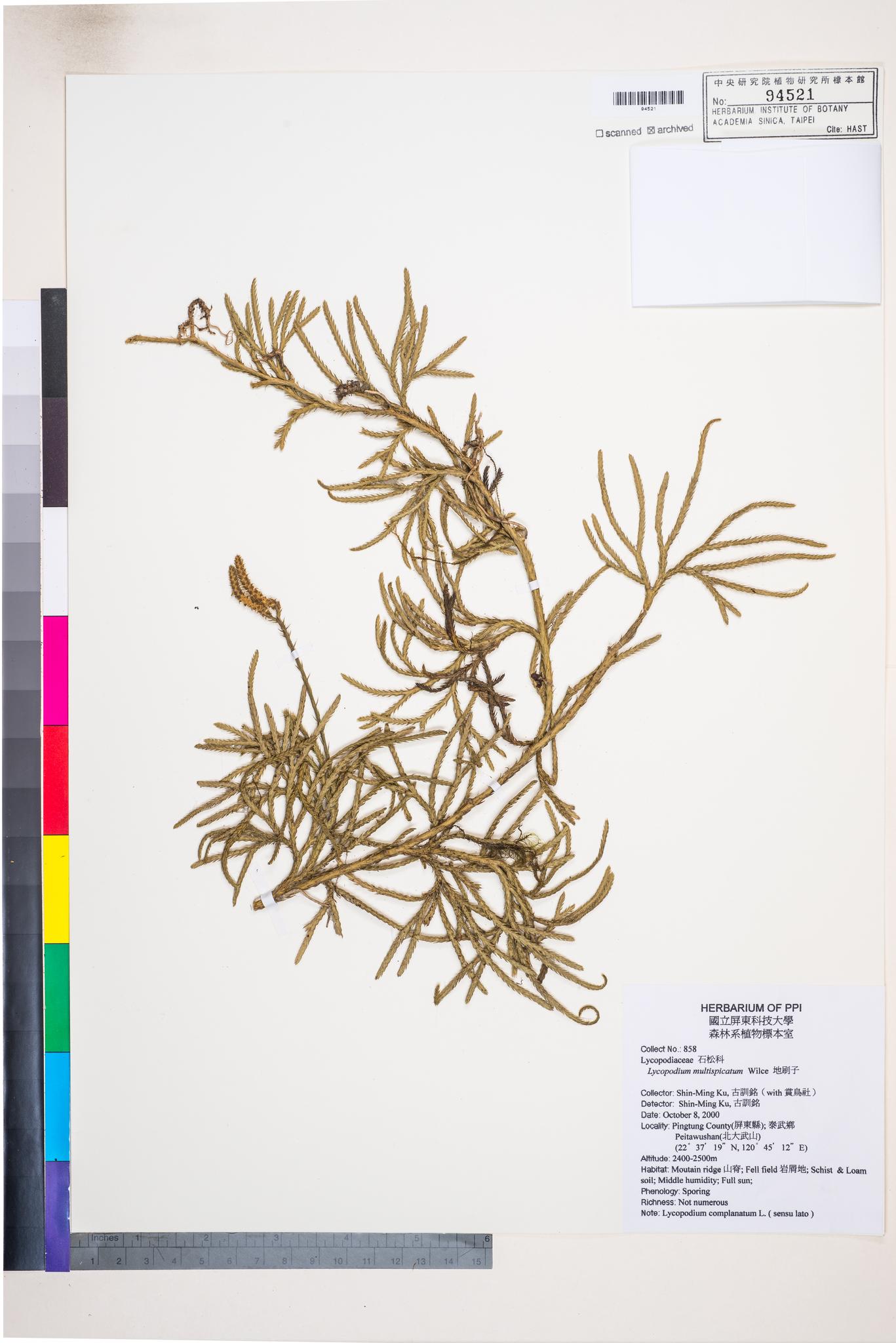 Sample image for viewer