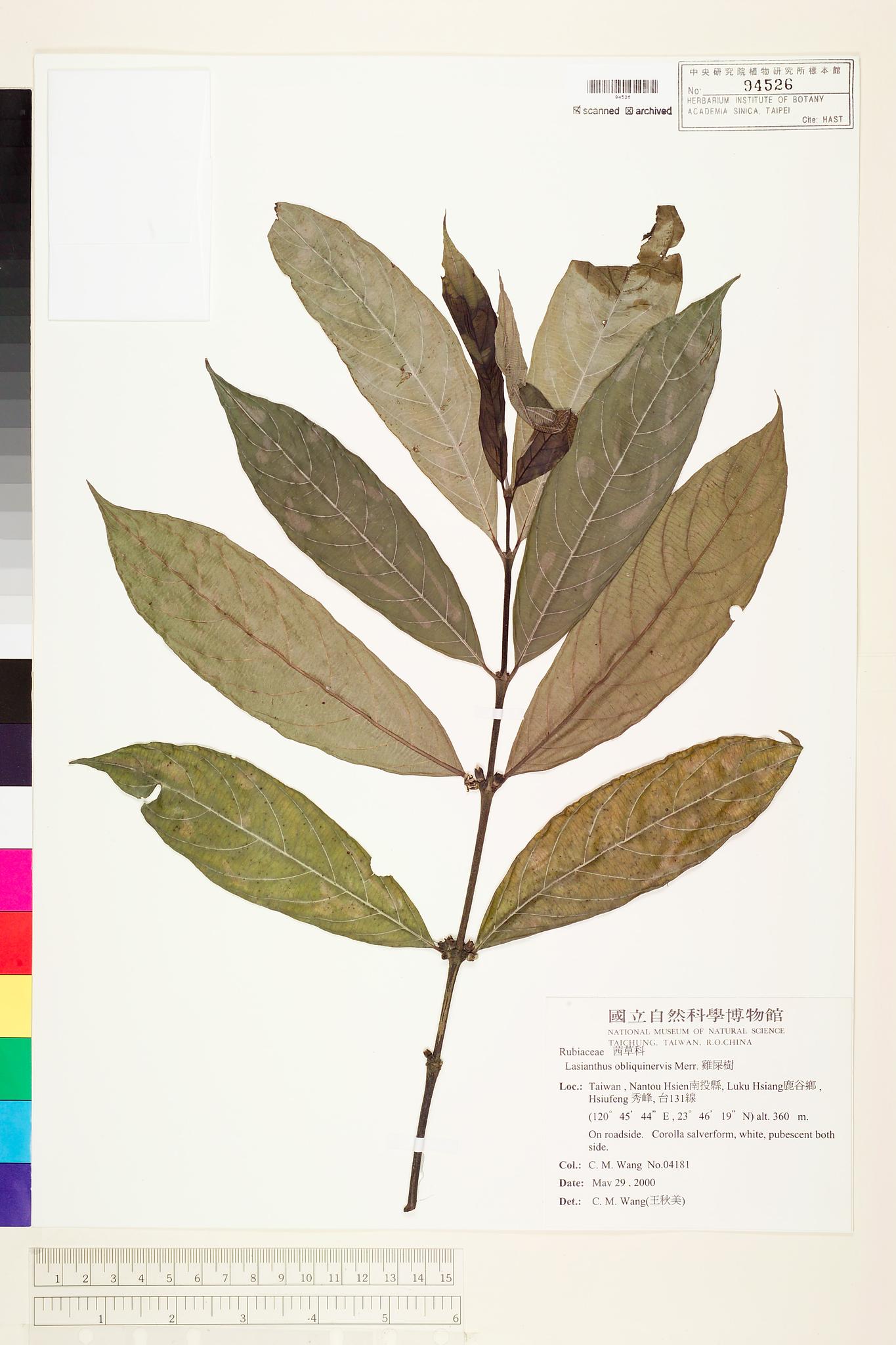 Sample image for viewer