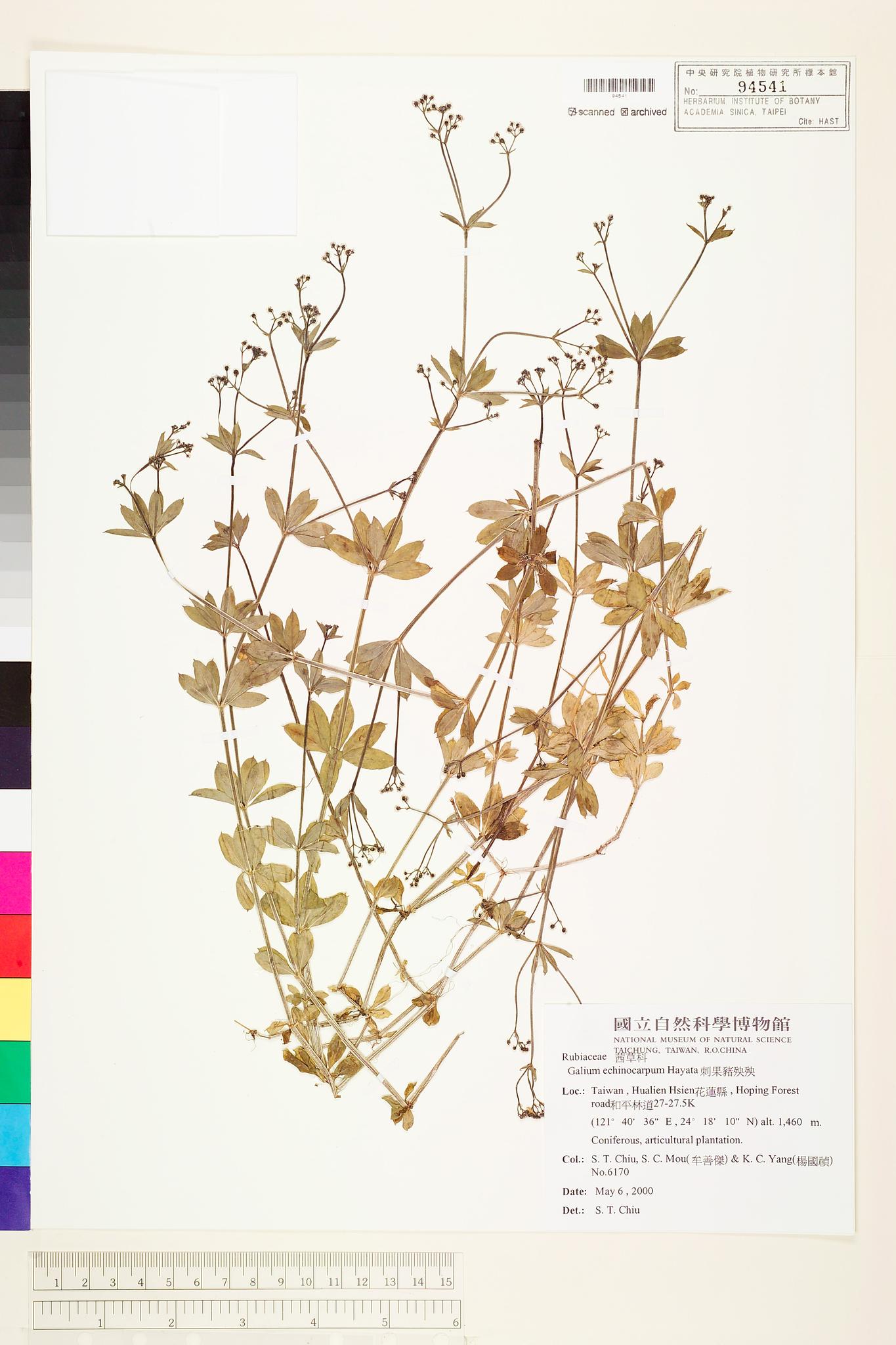 Sample image for viewer