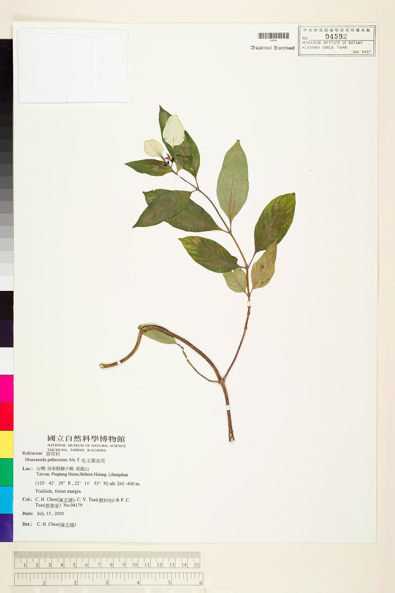 Sample image for viewer