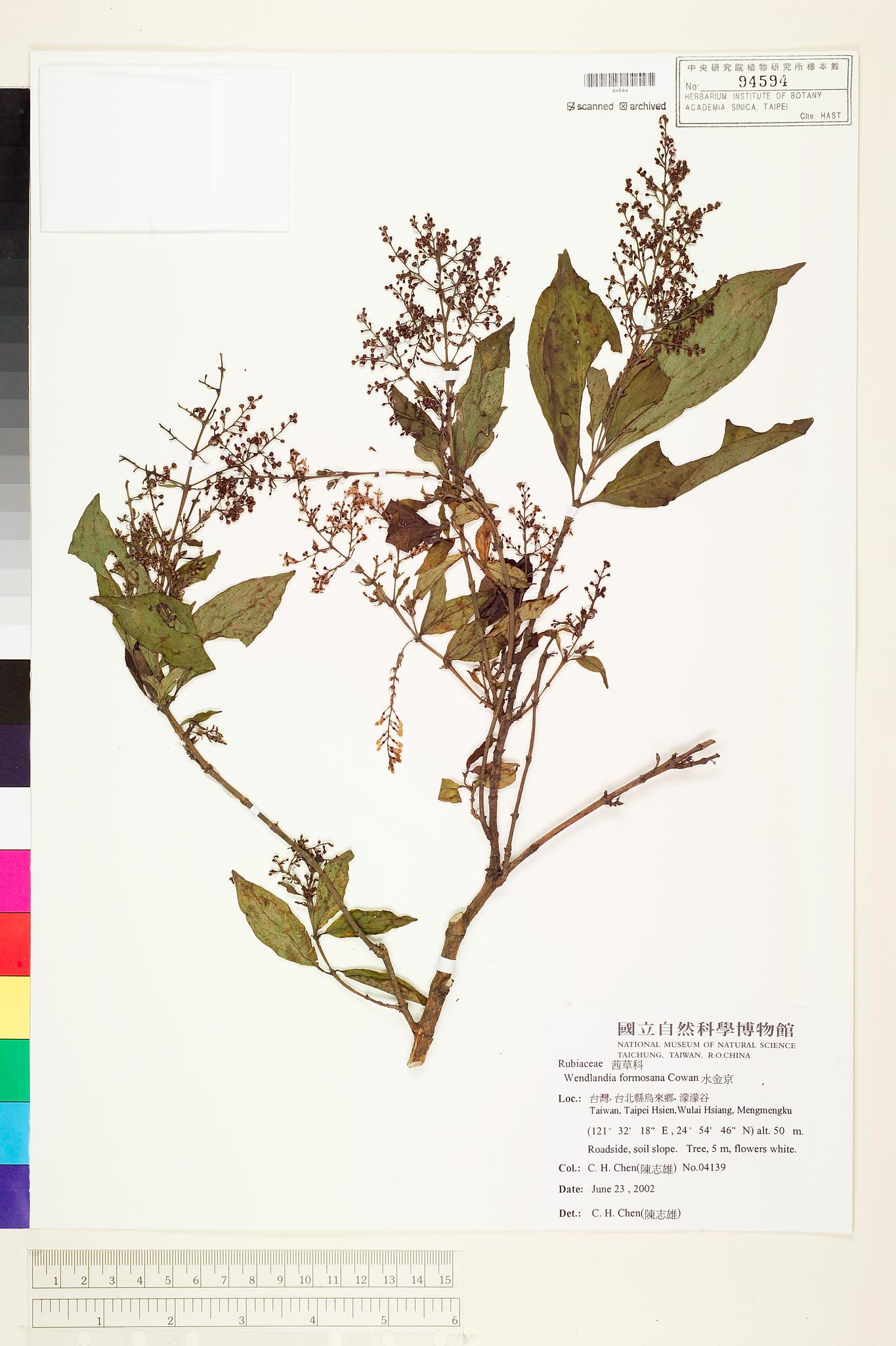 Sample image for viewer