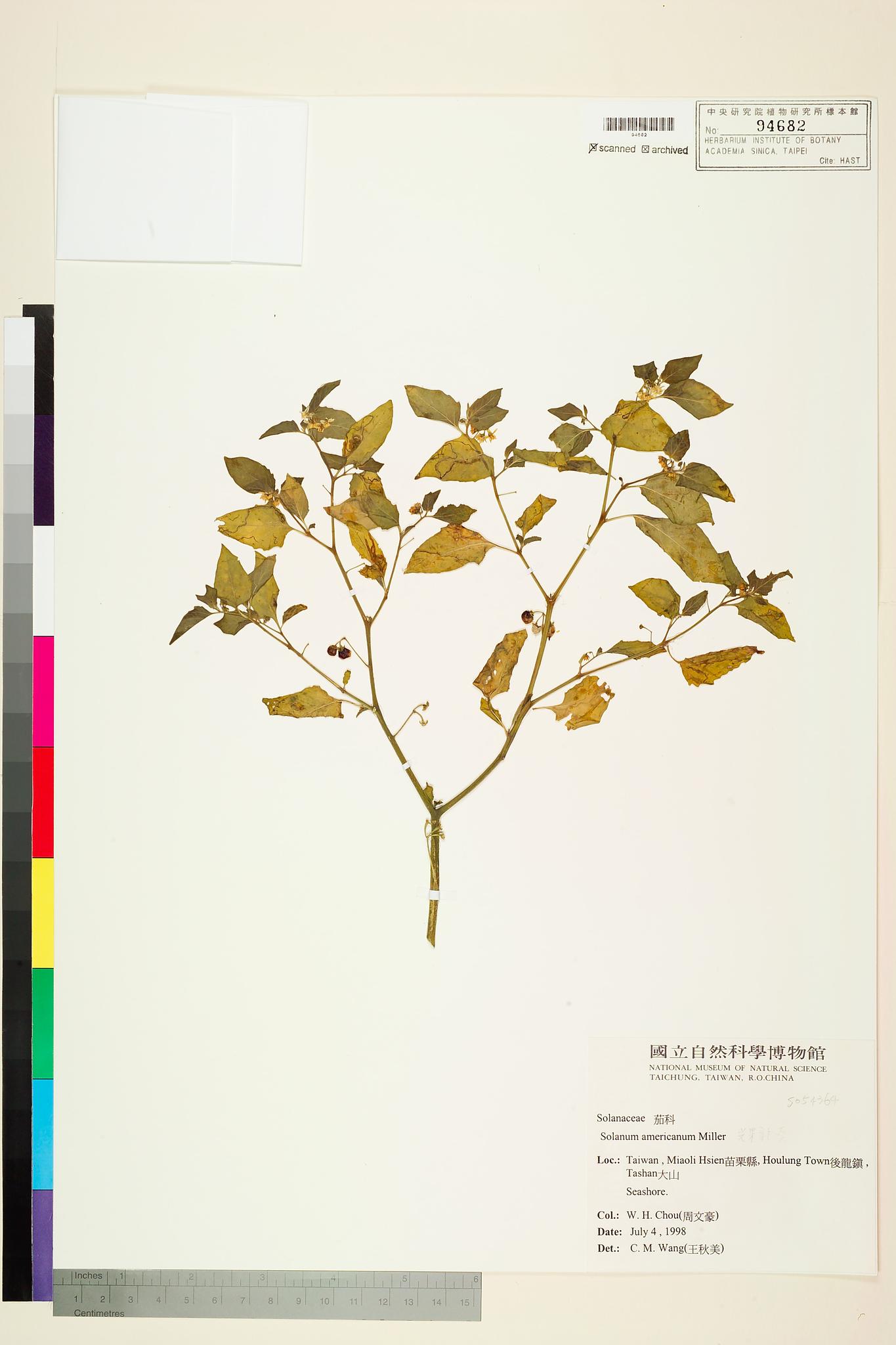 Sample image for viewer