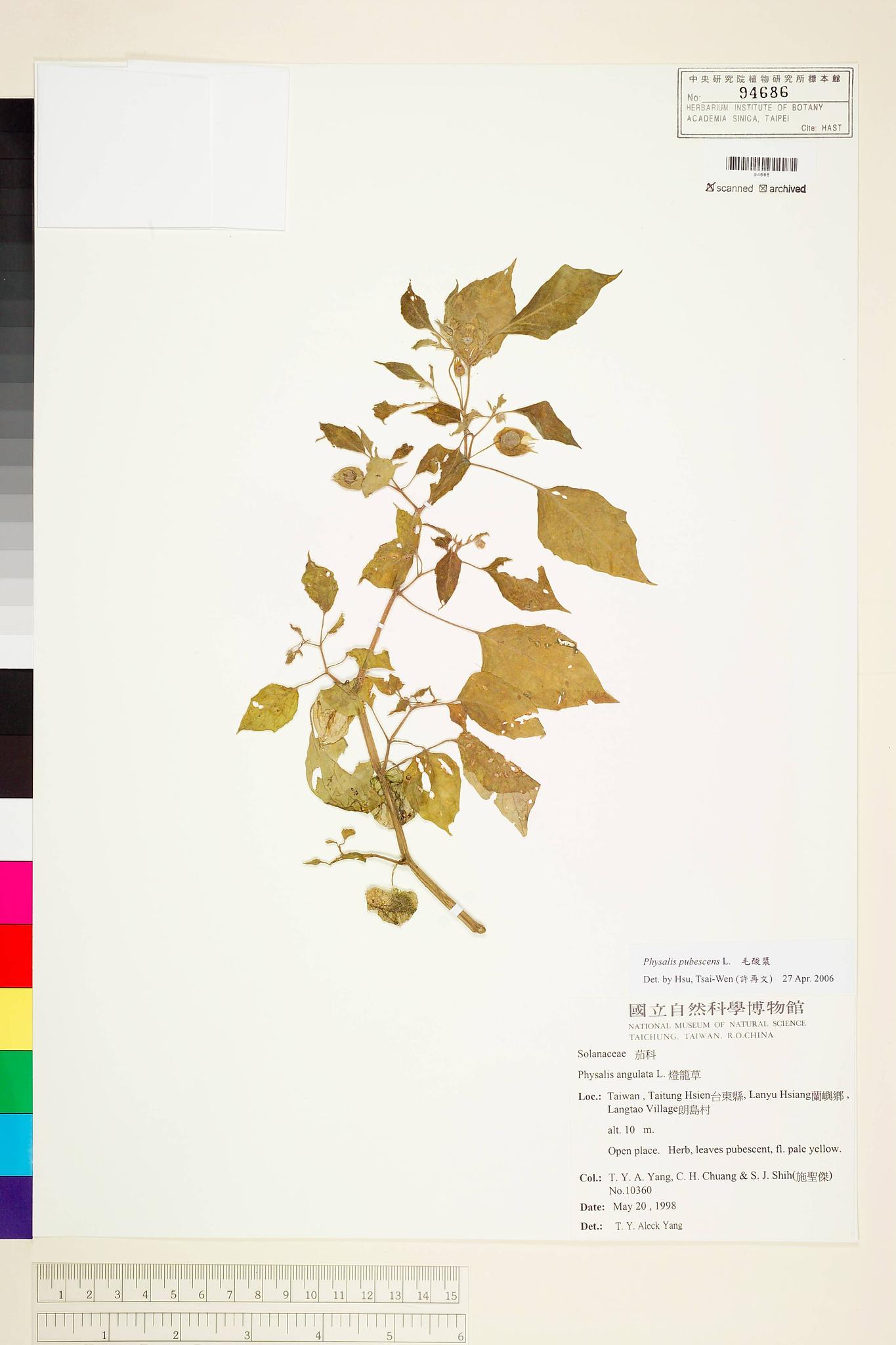 Sample image for viewer