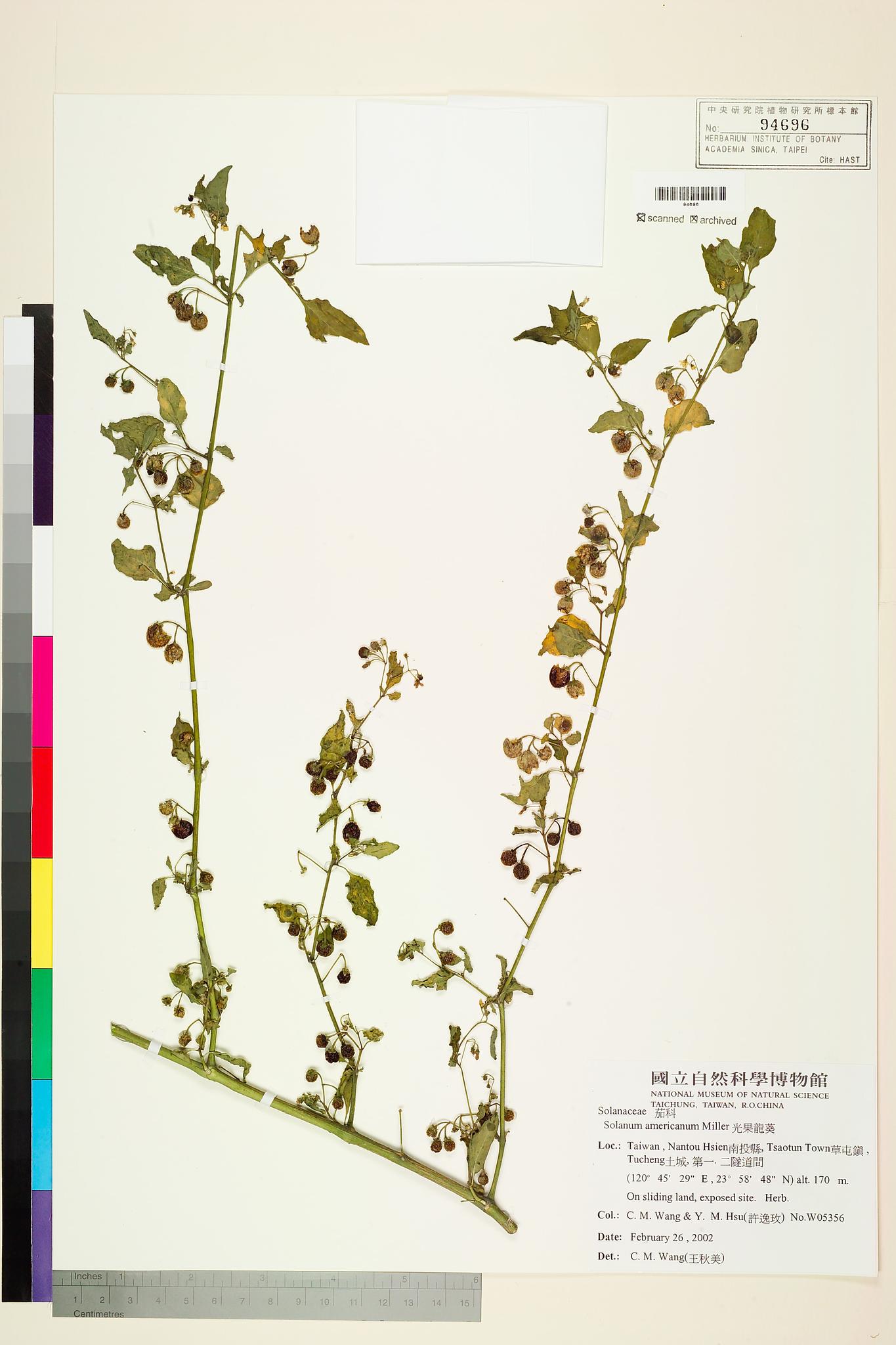 Sample image for viewer