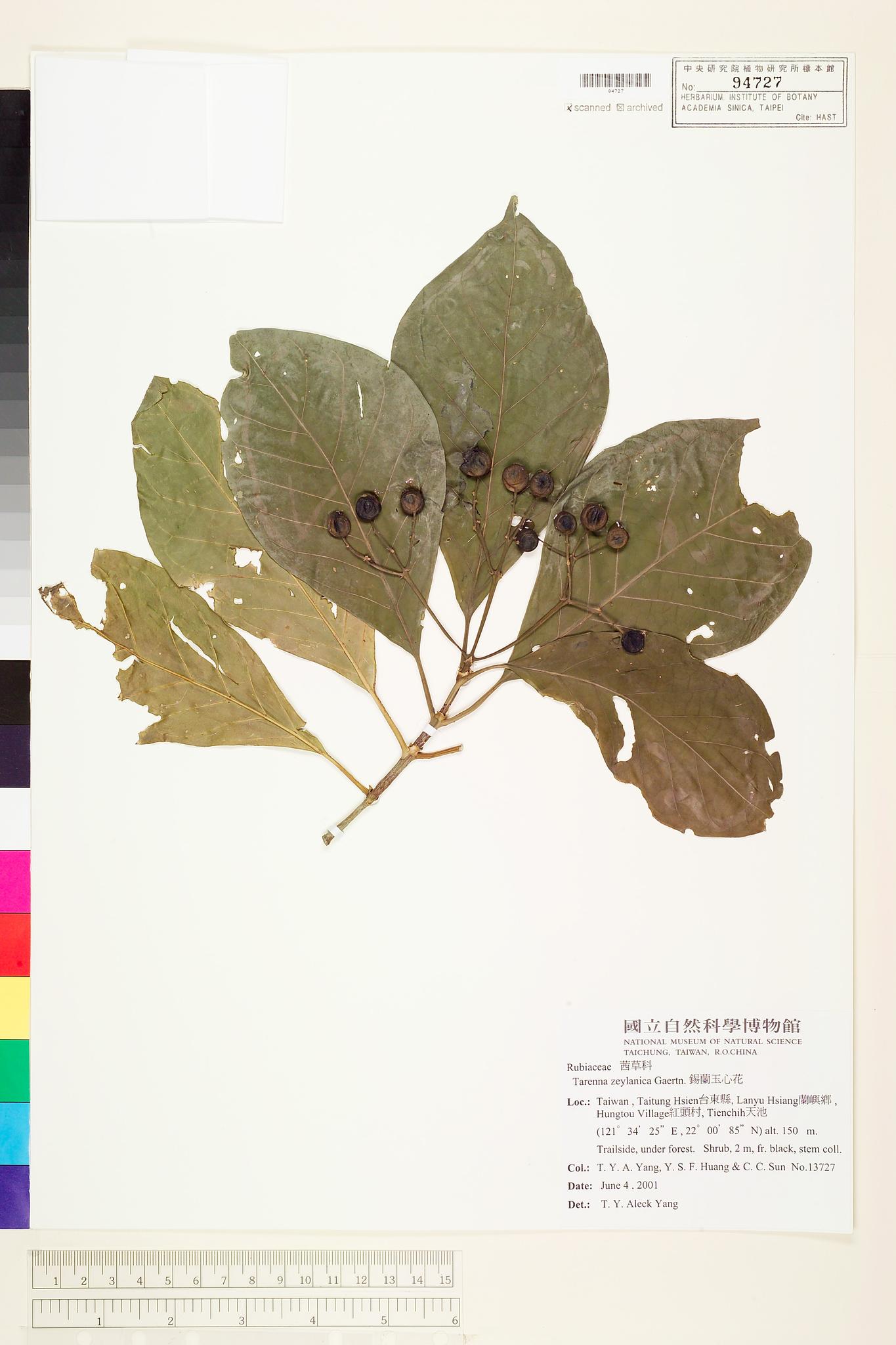 Sample image for viewer