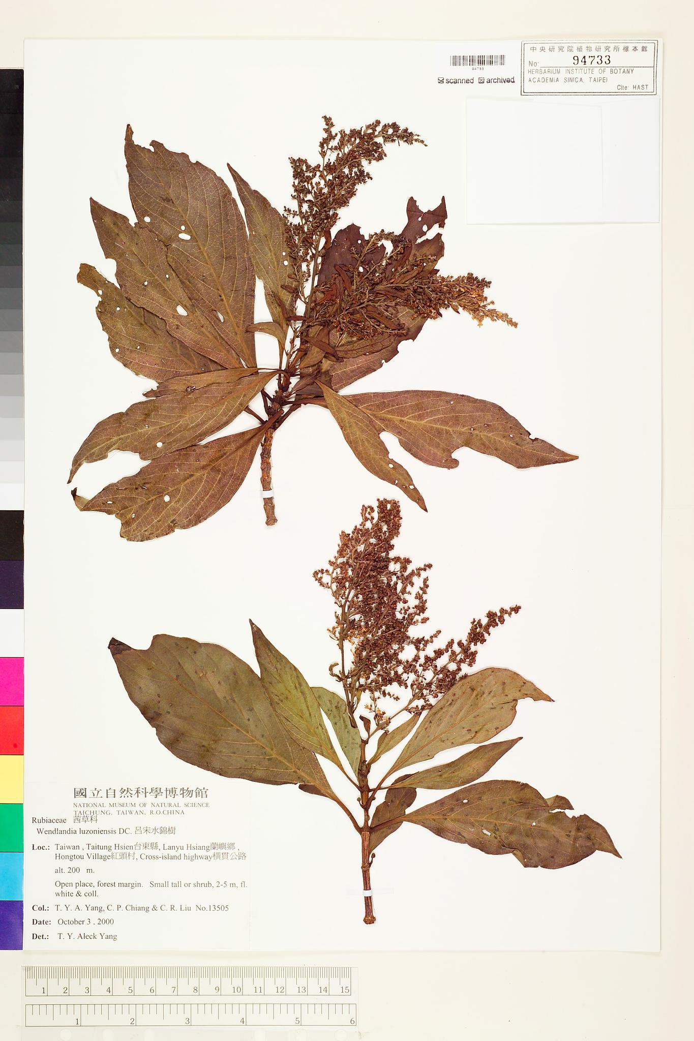 Sample image for viewer