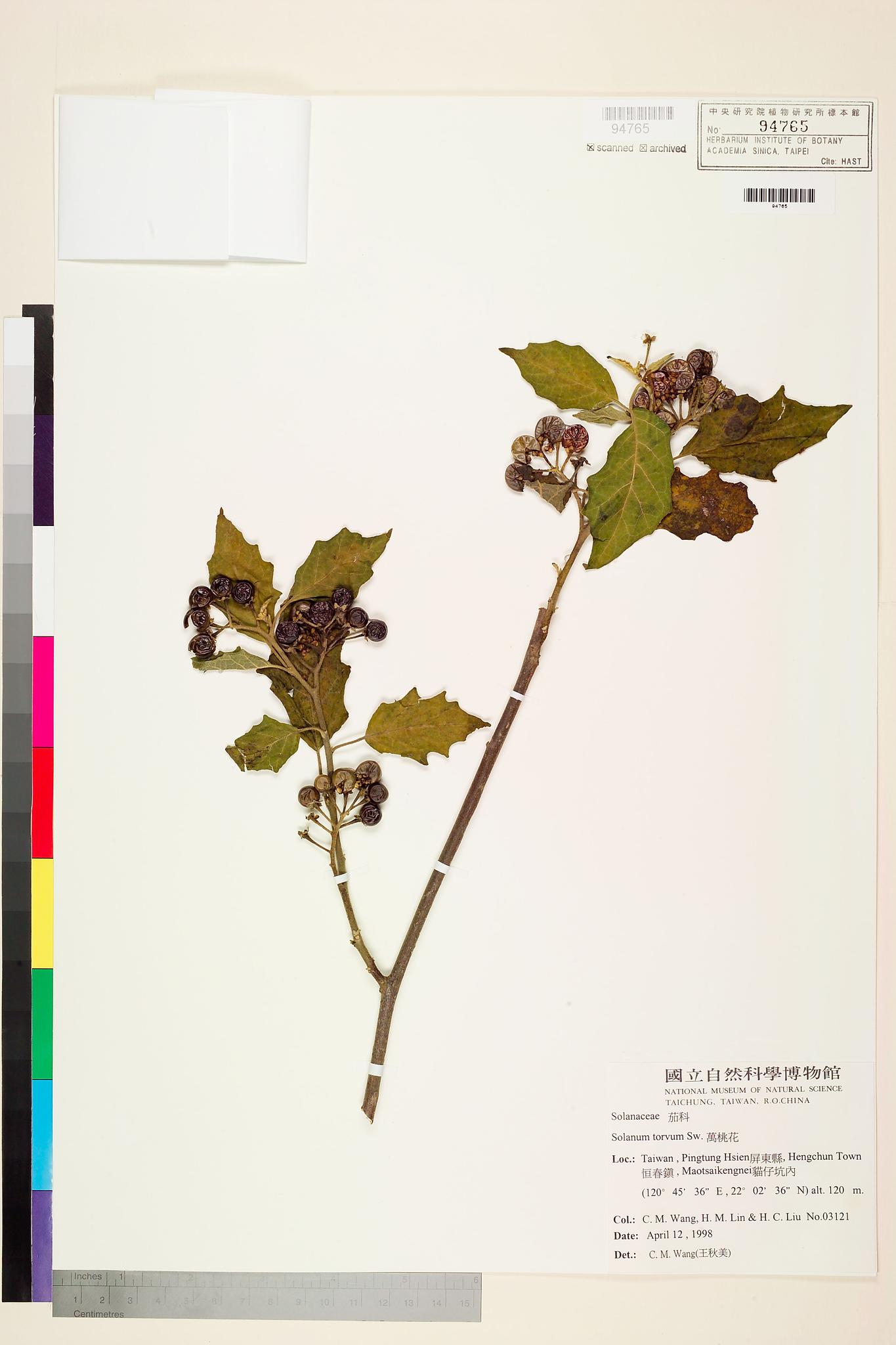 Sample image for viewer