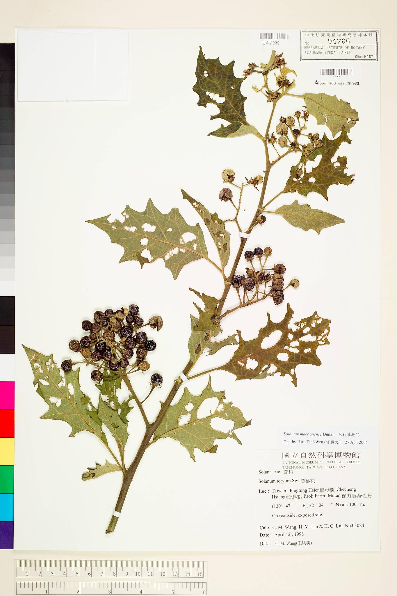 Sample image for viewer