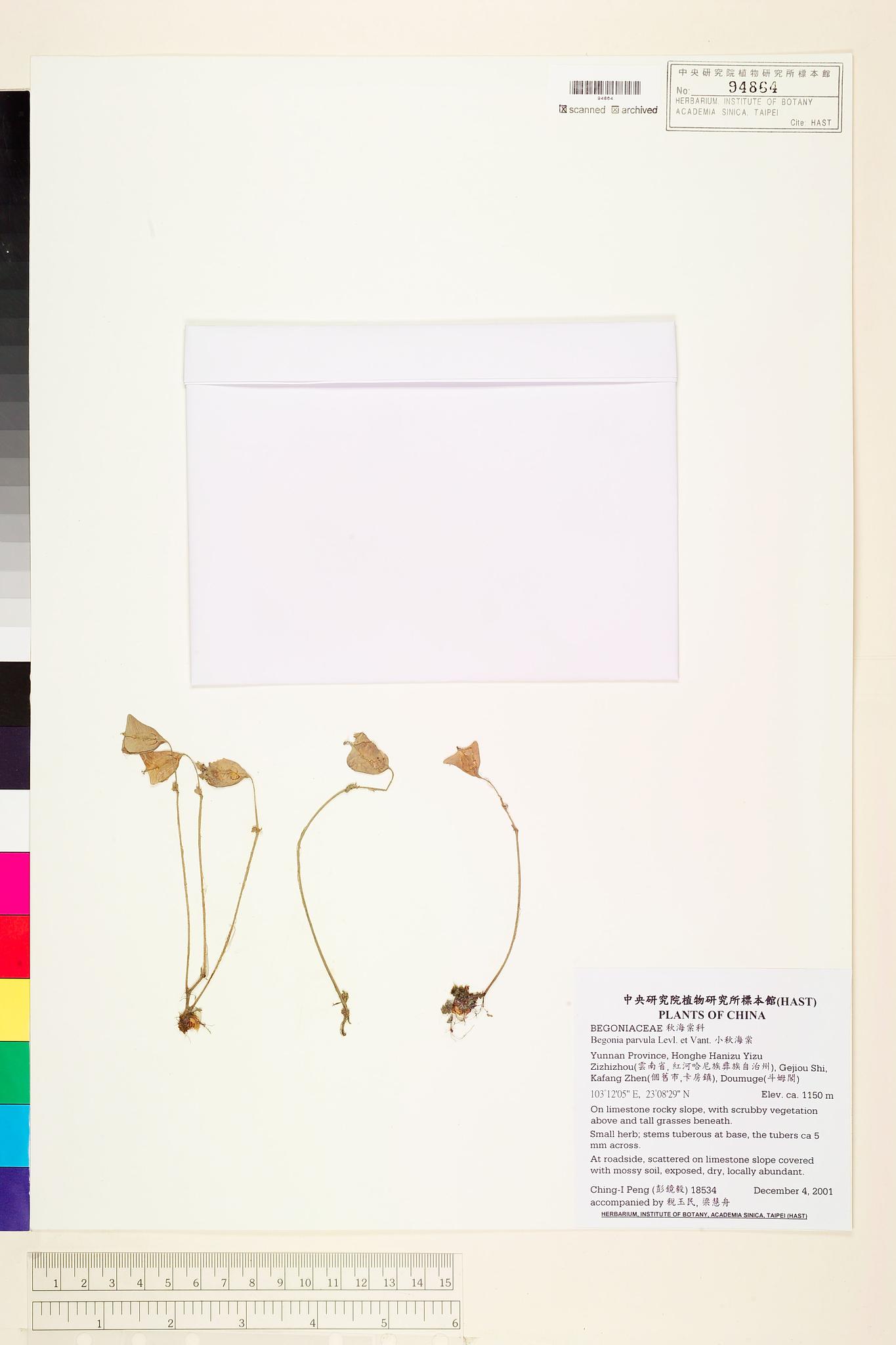 Sample image for viewer