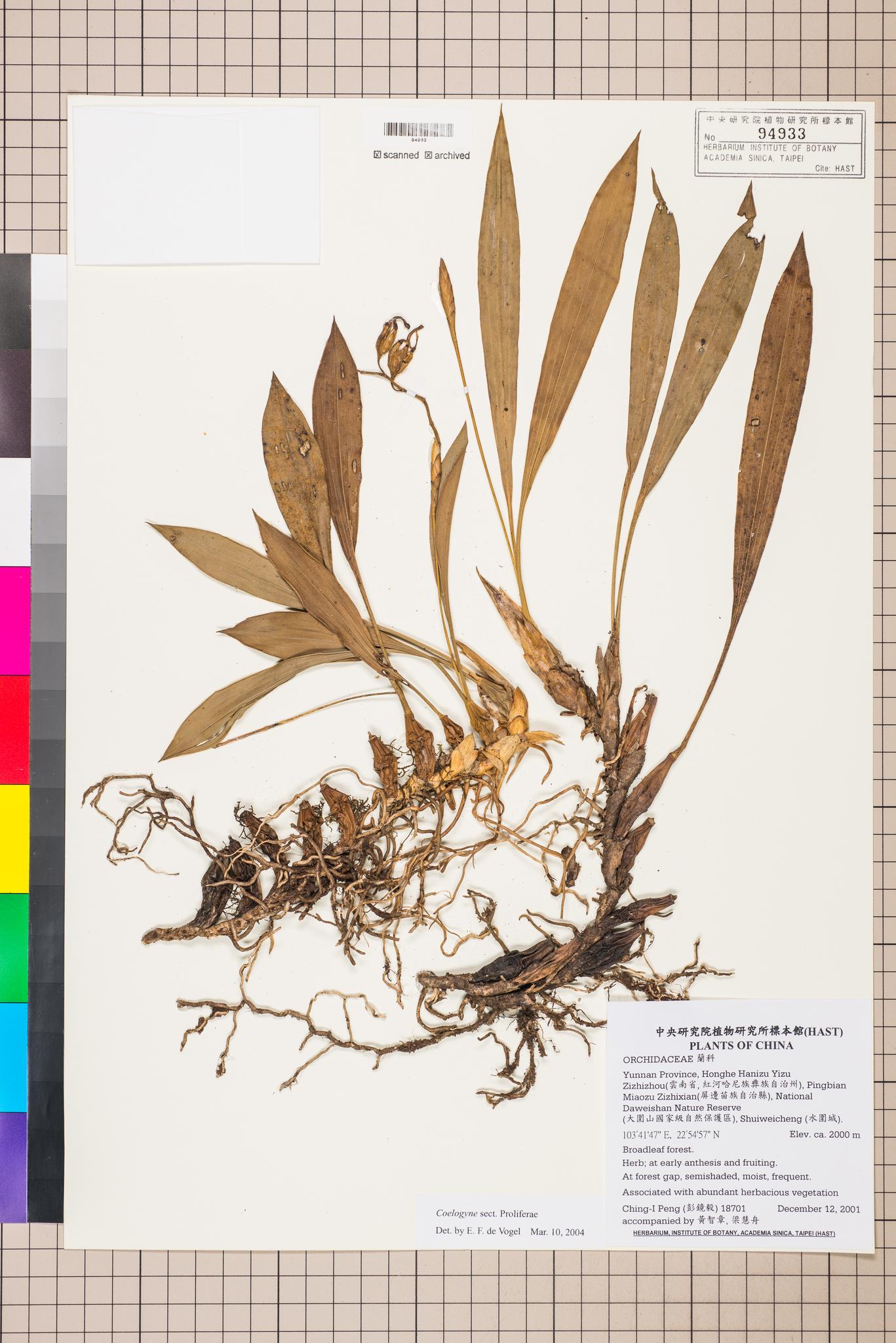 Sample image for viewer