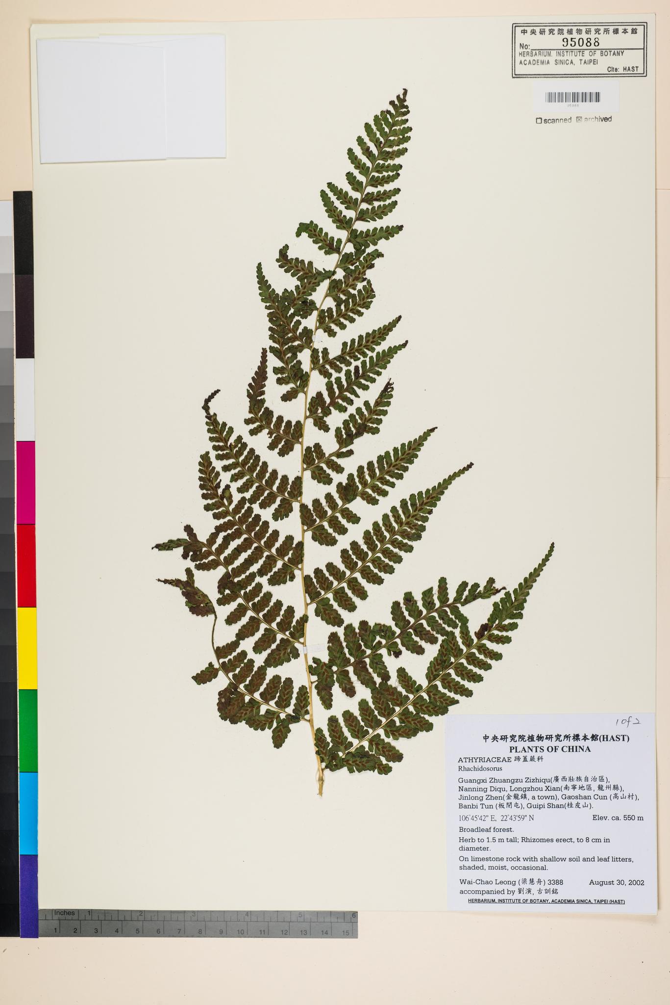 Sample image for viewer