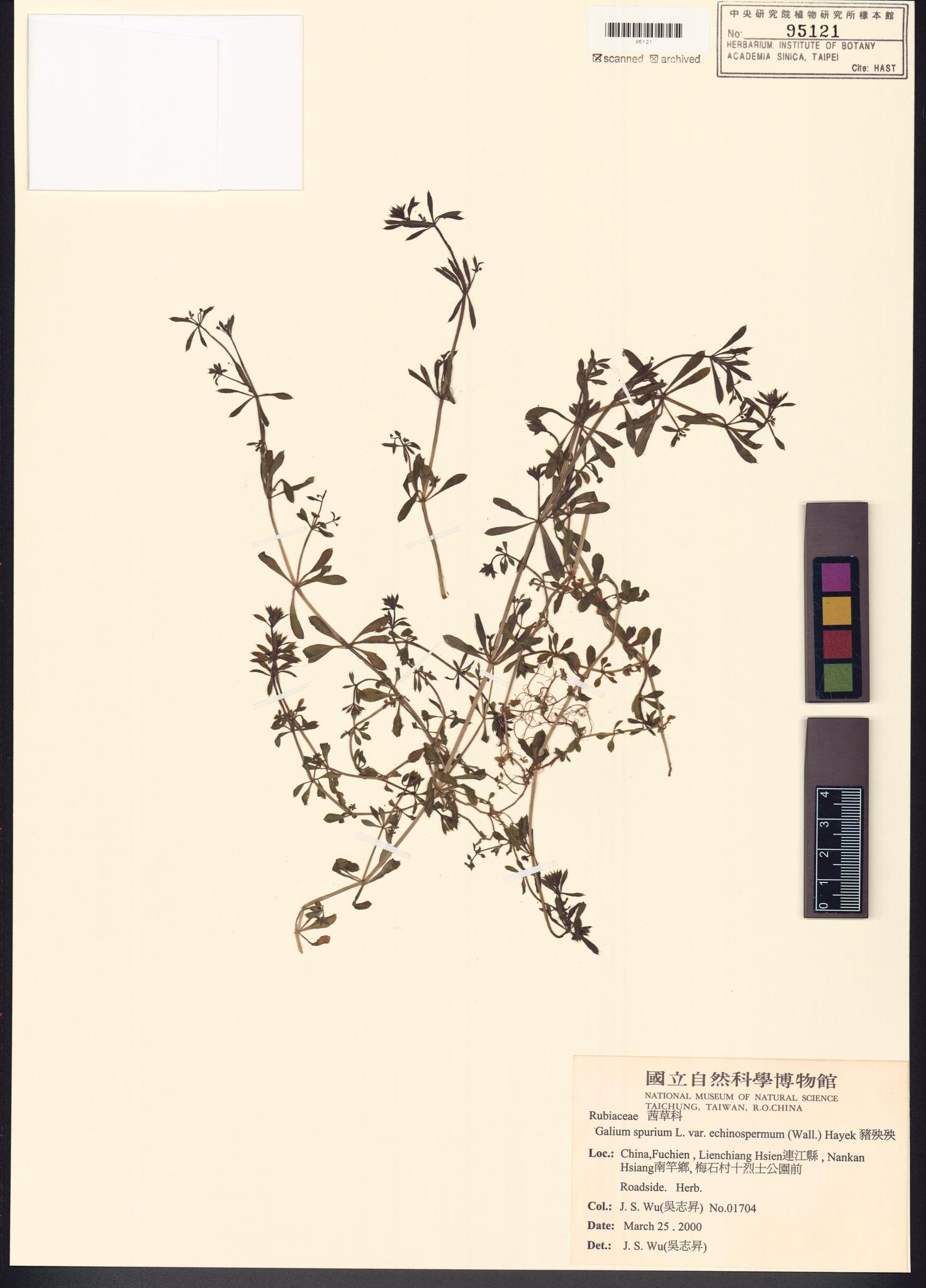 Sample image for viewer