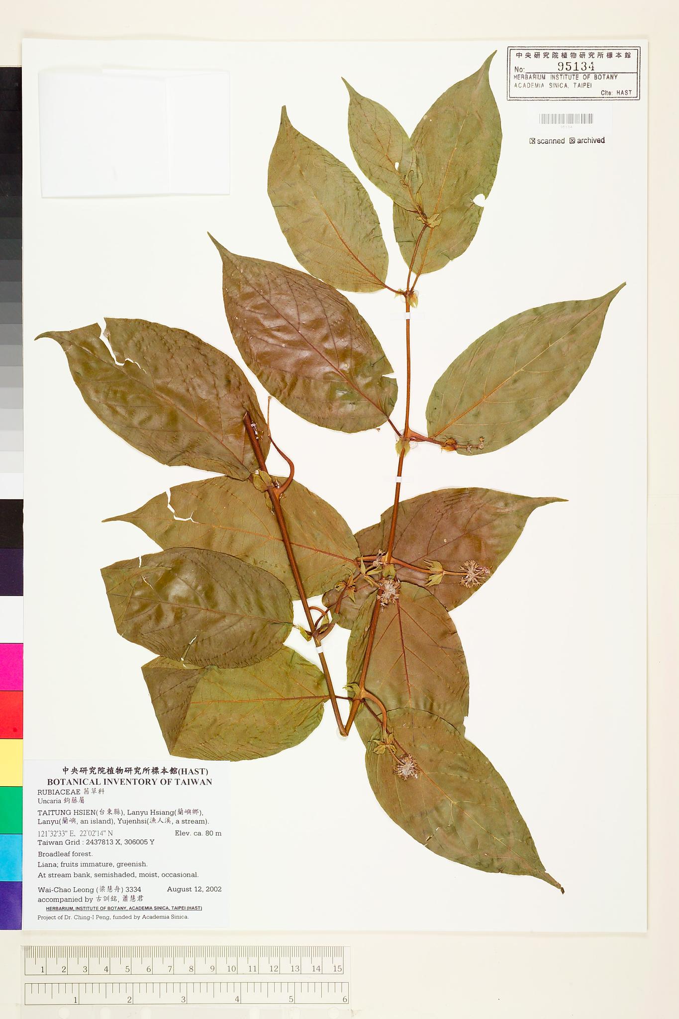 Sample image for viewer