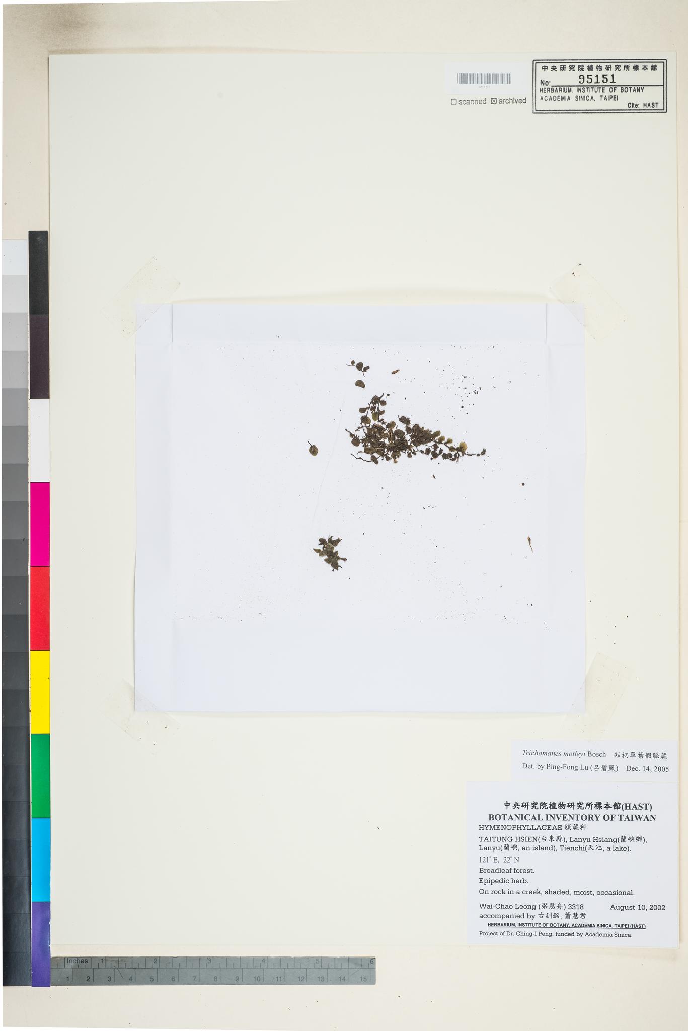 Sample image for viewer