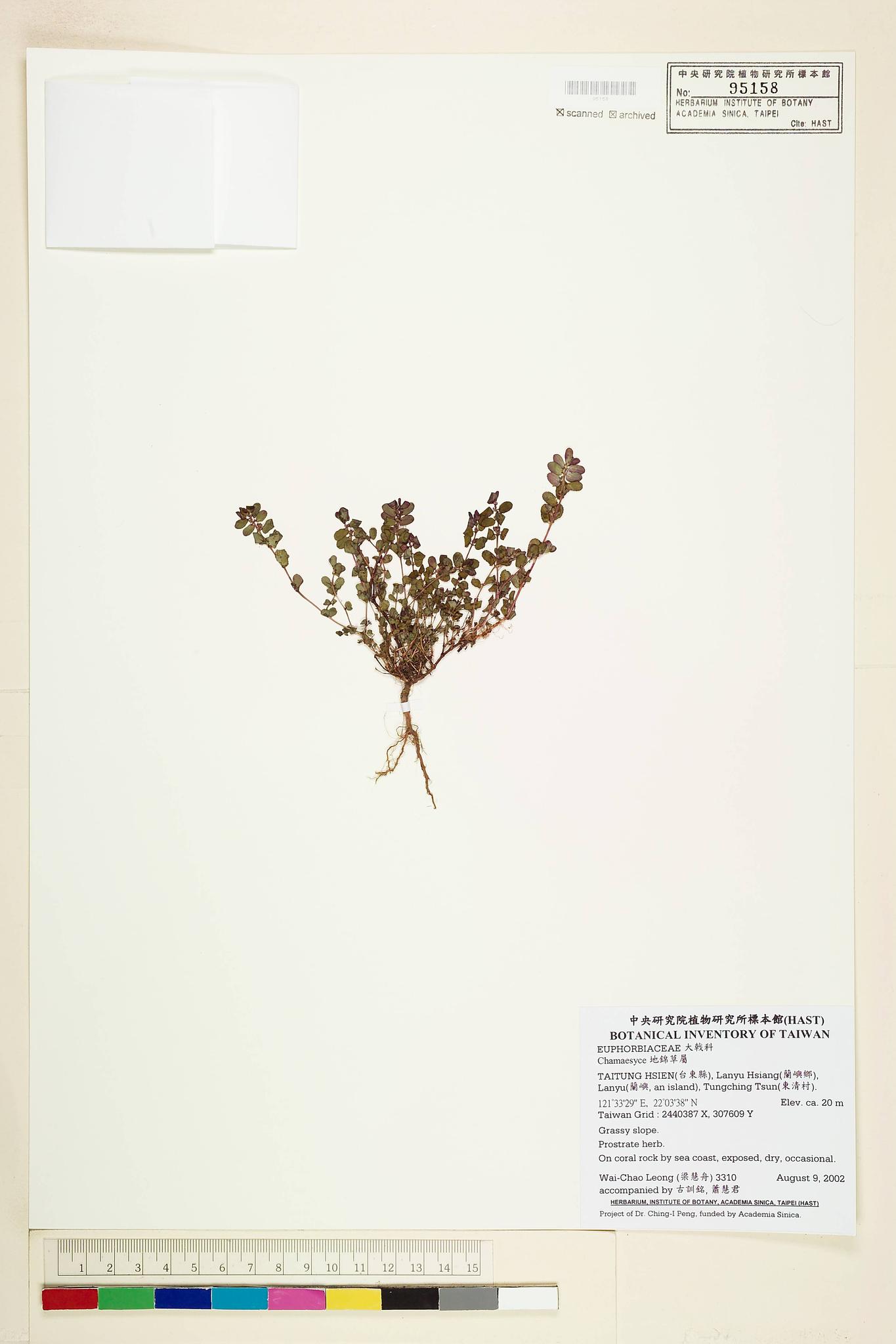 Sample image for viewer