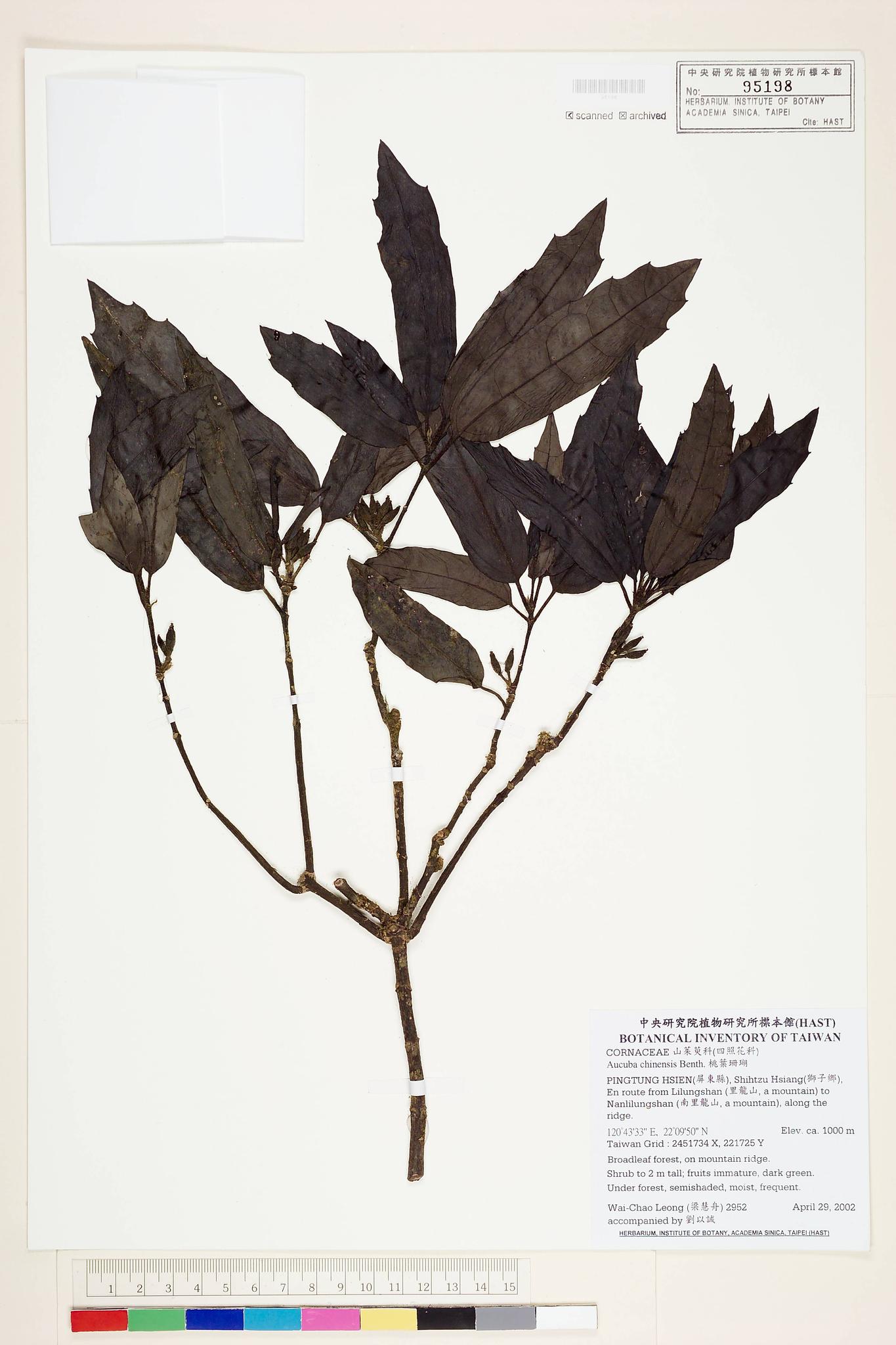 Sample image for viewer