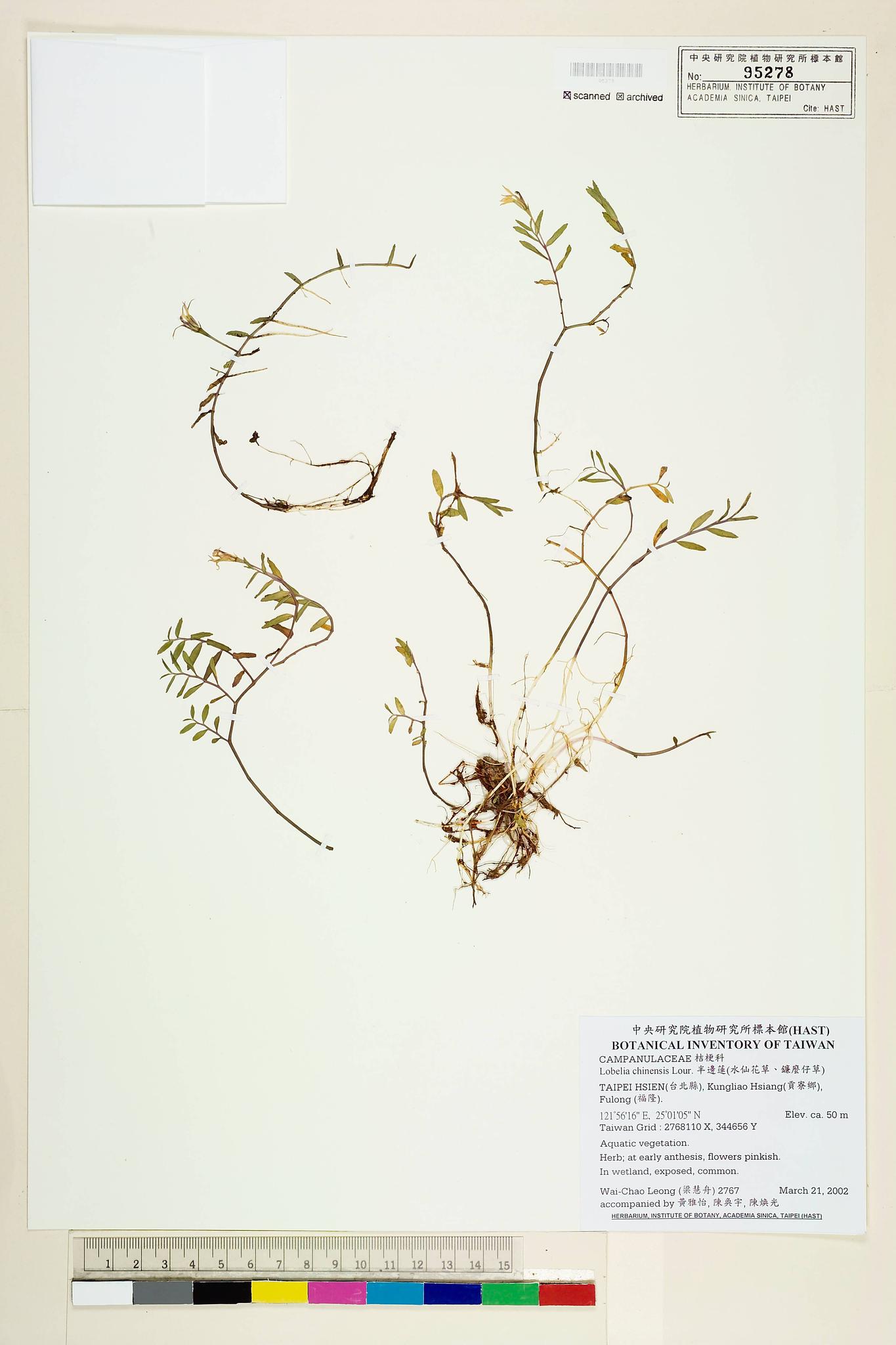 Sample image for viewer