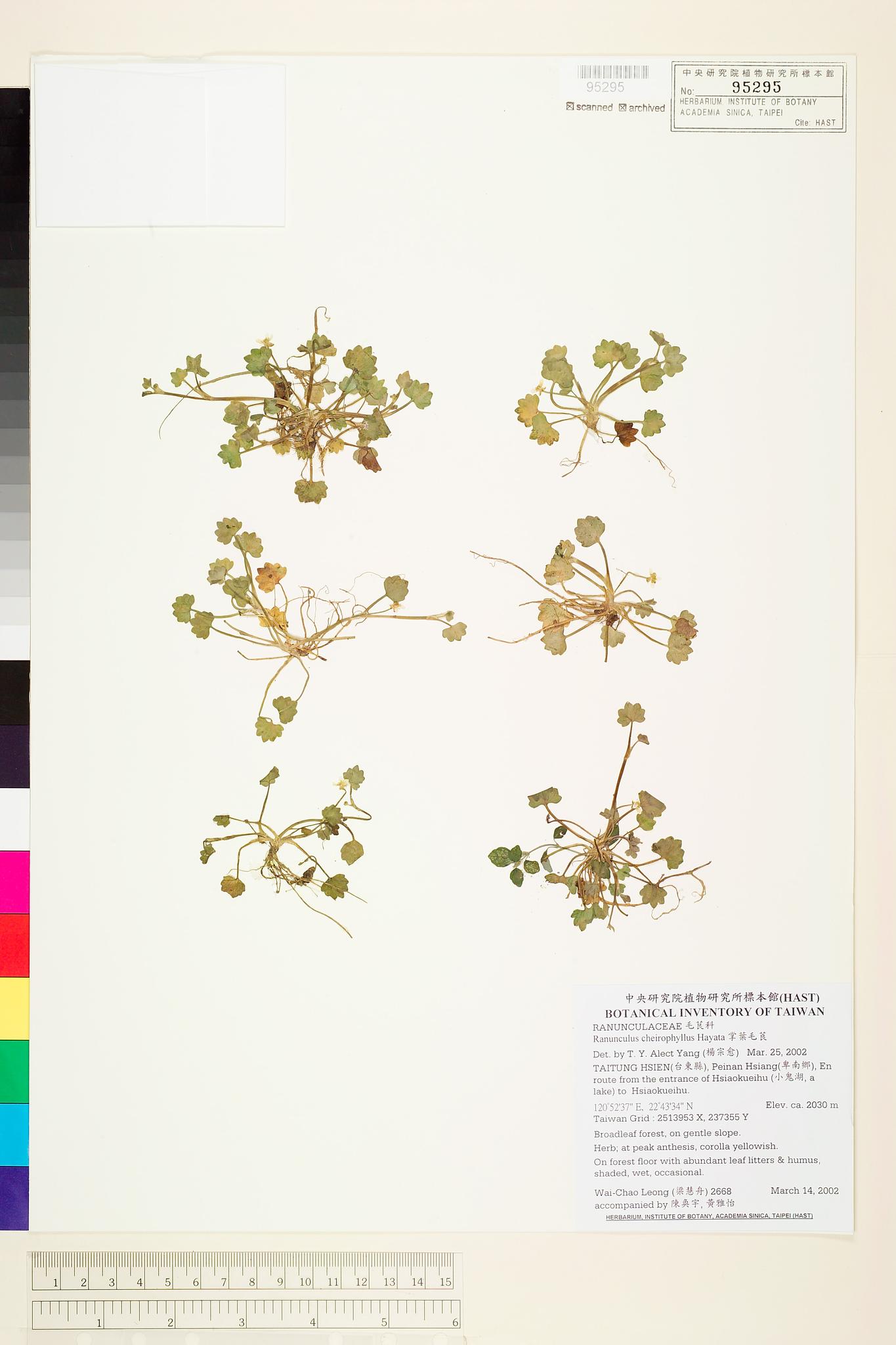 Sample image for viewer