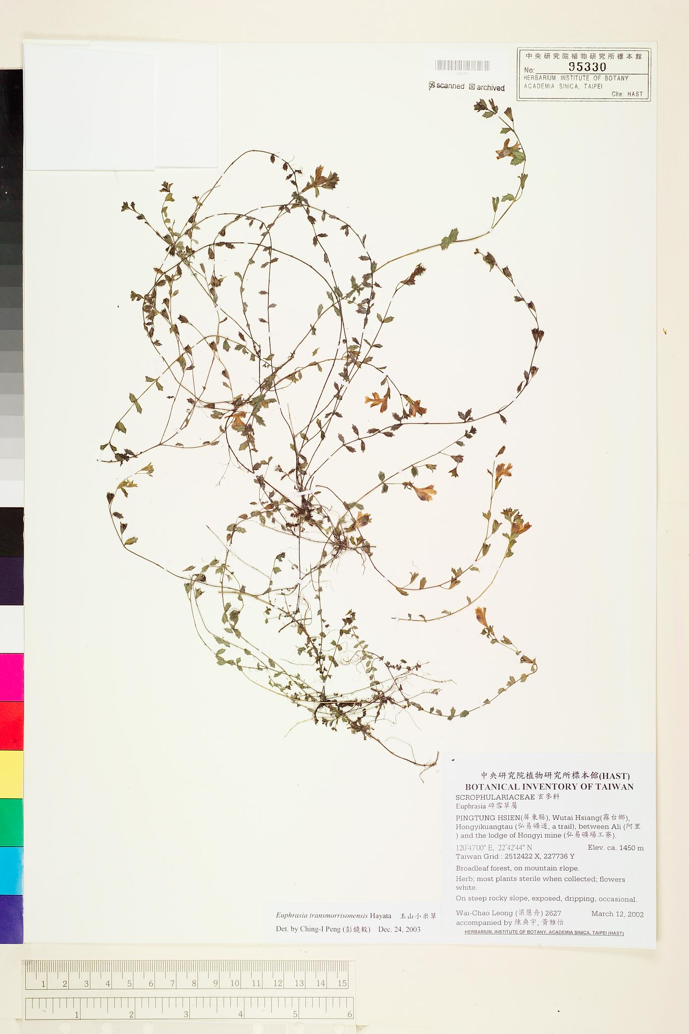 Sample image for viewer