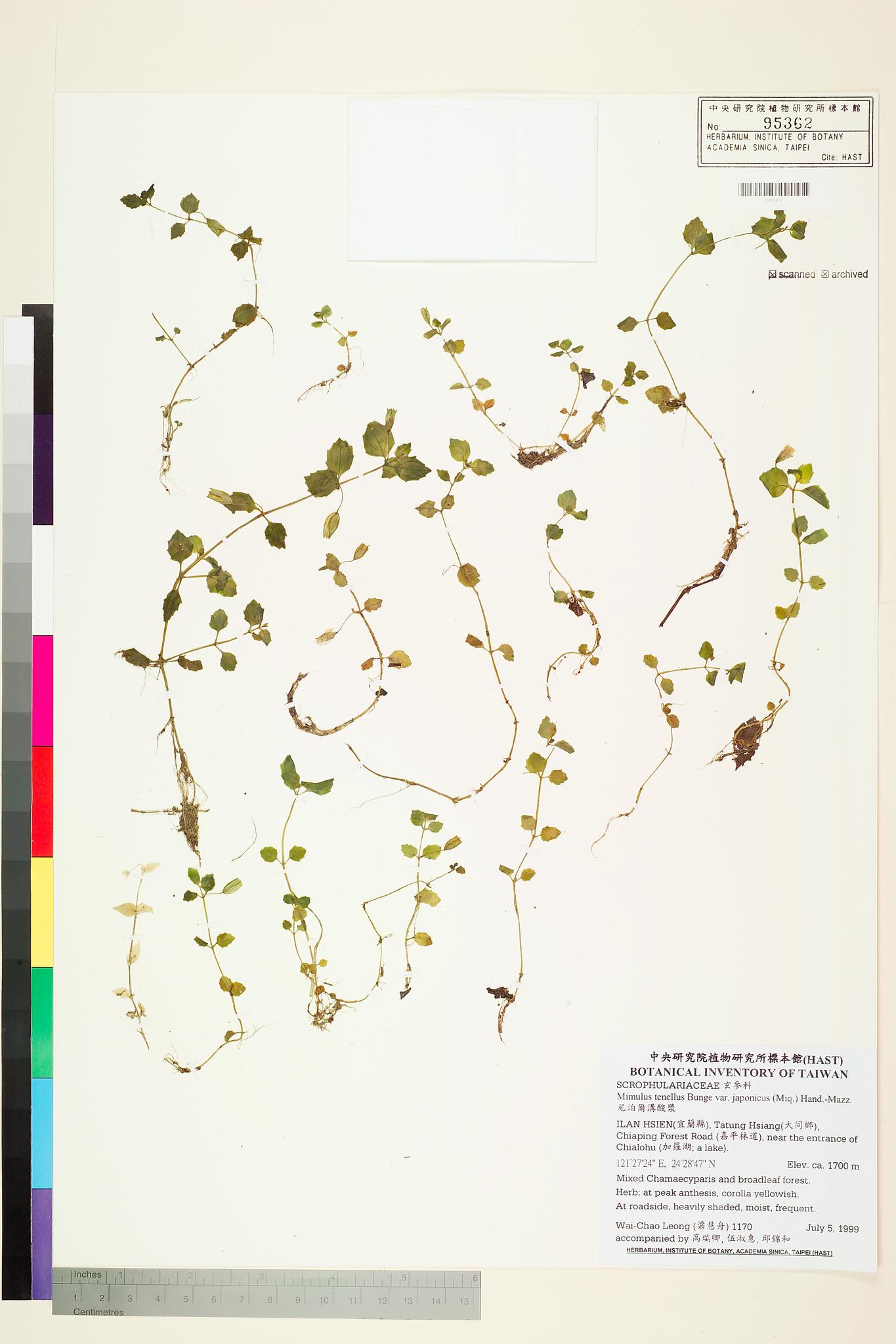 Sample image for viewer