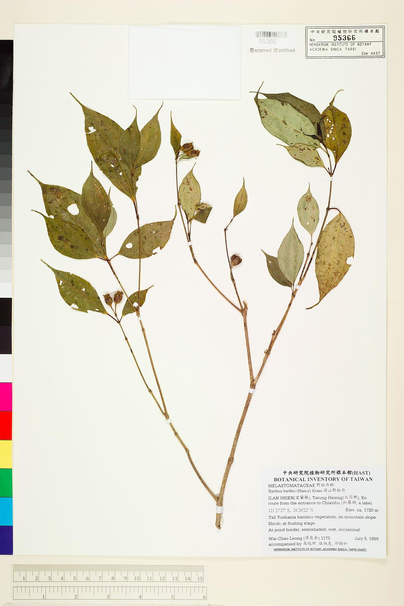 Sample image for viewer