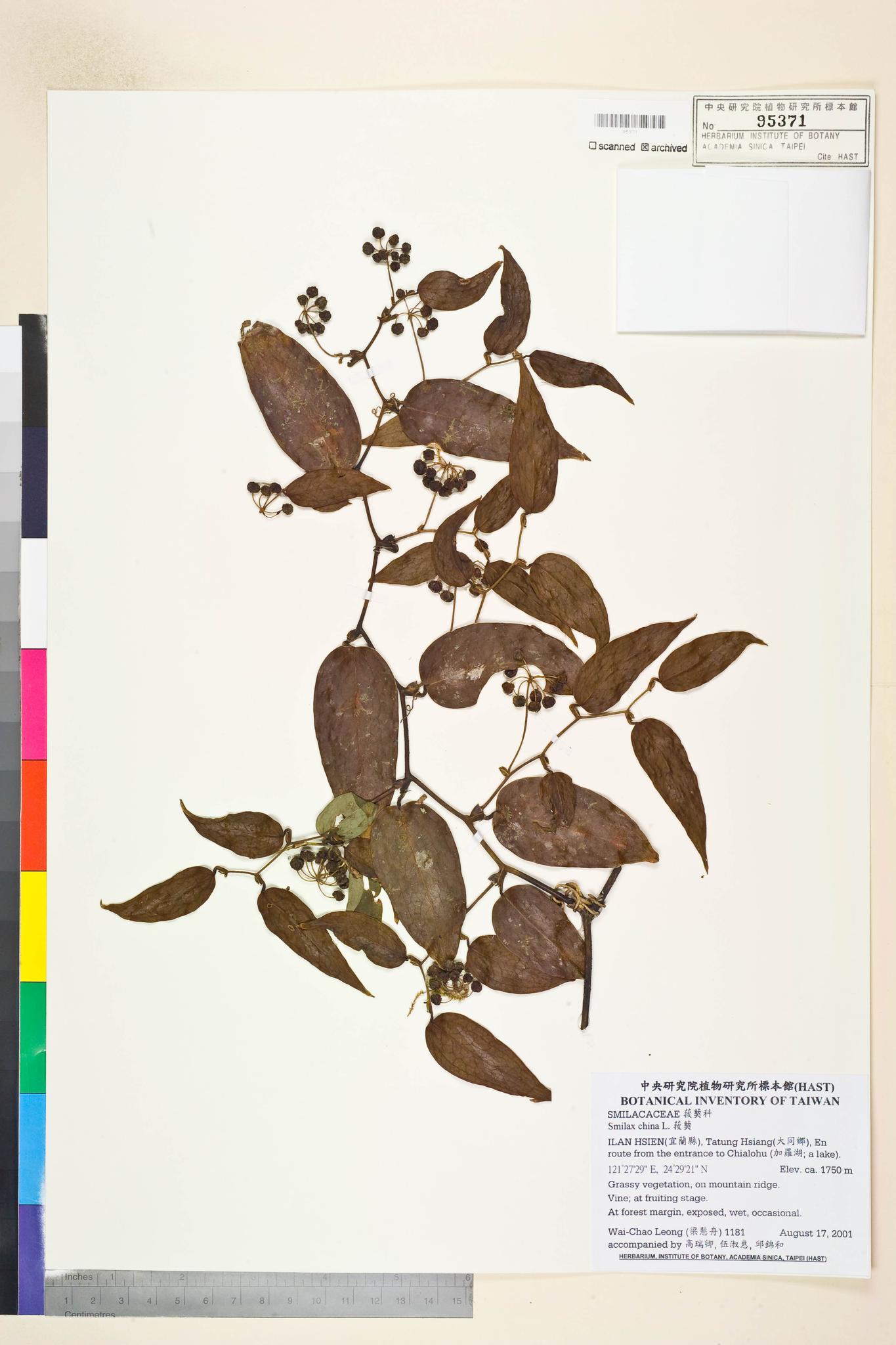 Sample image for viewer