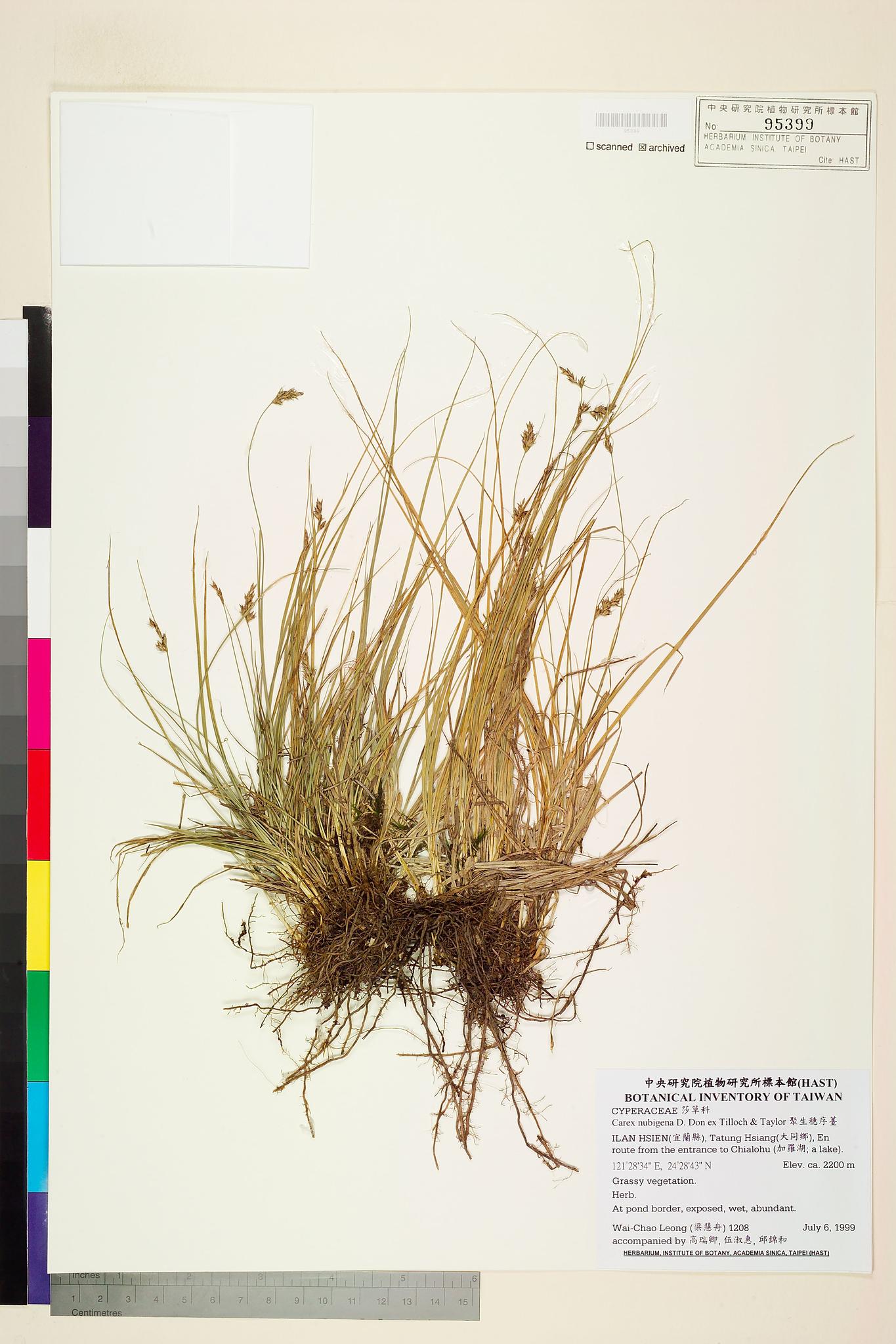 Sample image for viewer