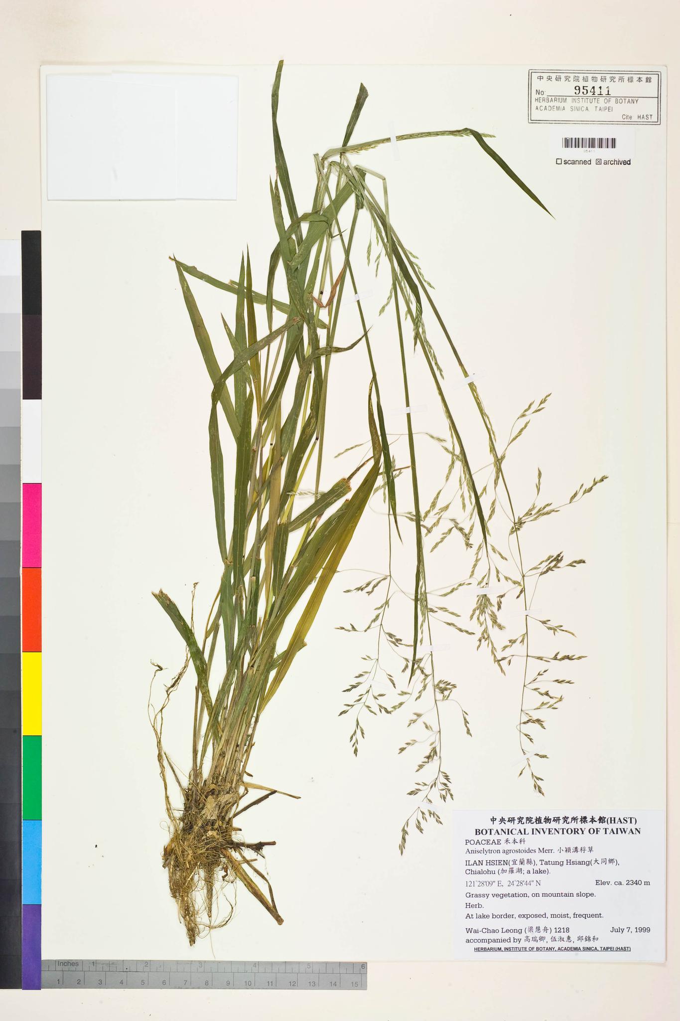 Sample image for viewer