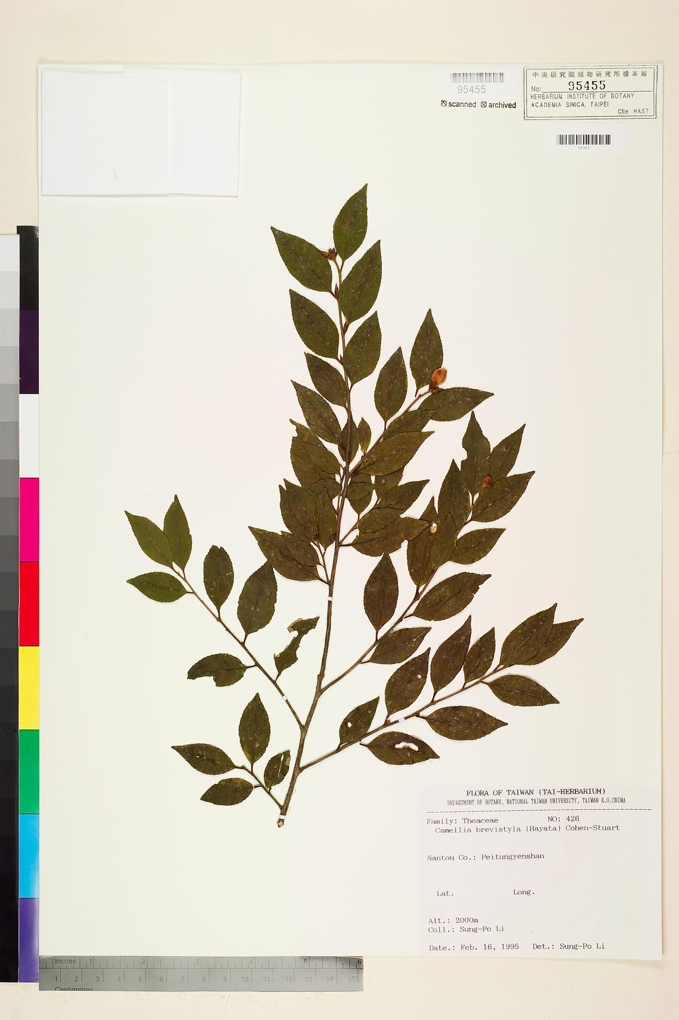 Sample image for viewer