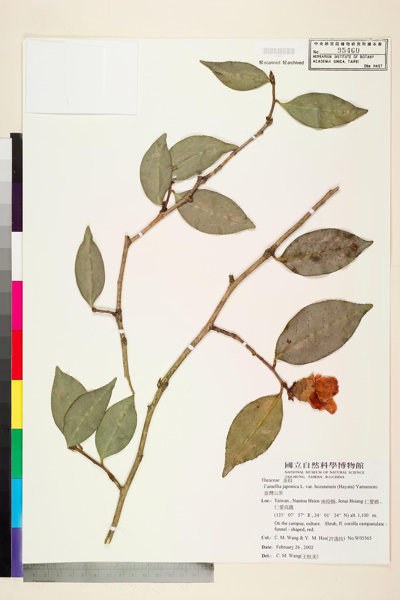 Sample image for viewer