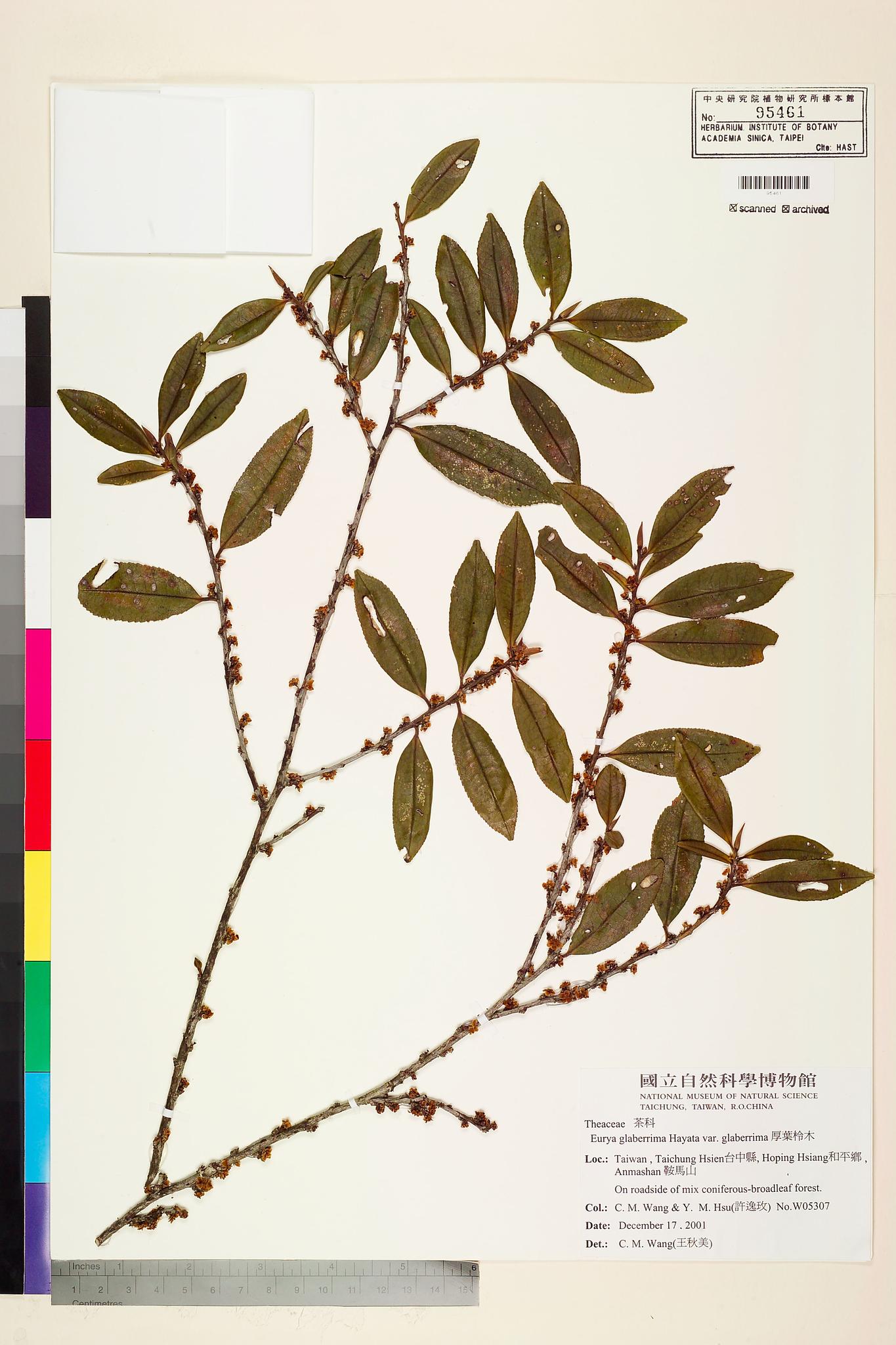 Sample image for viewer