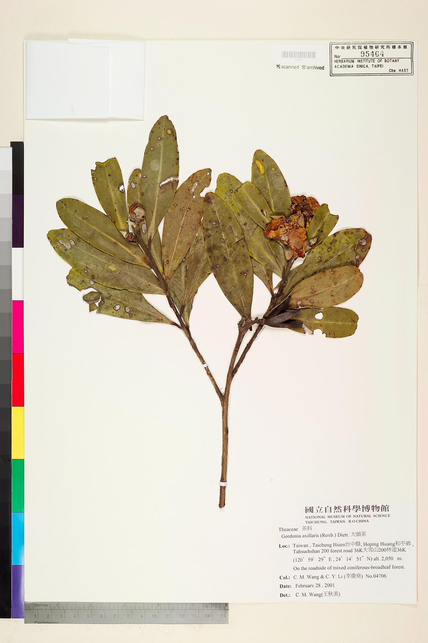 Sample image for viewer