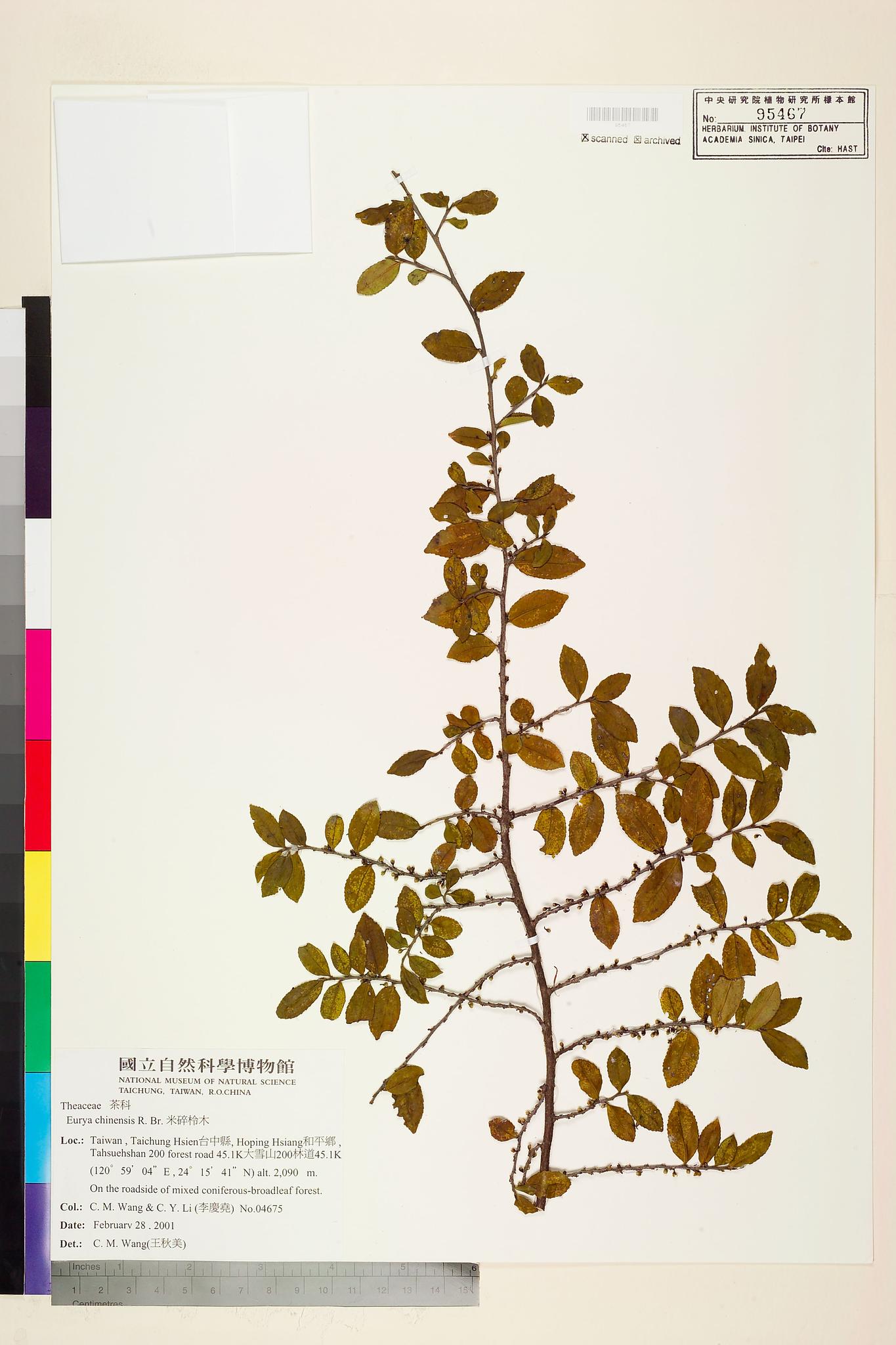 Sample image for viewer