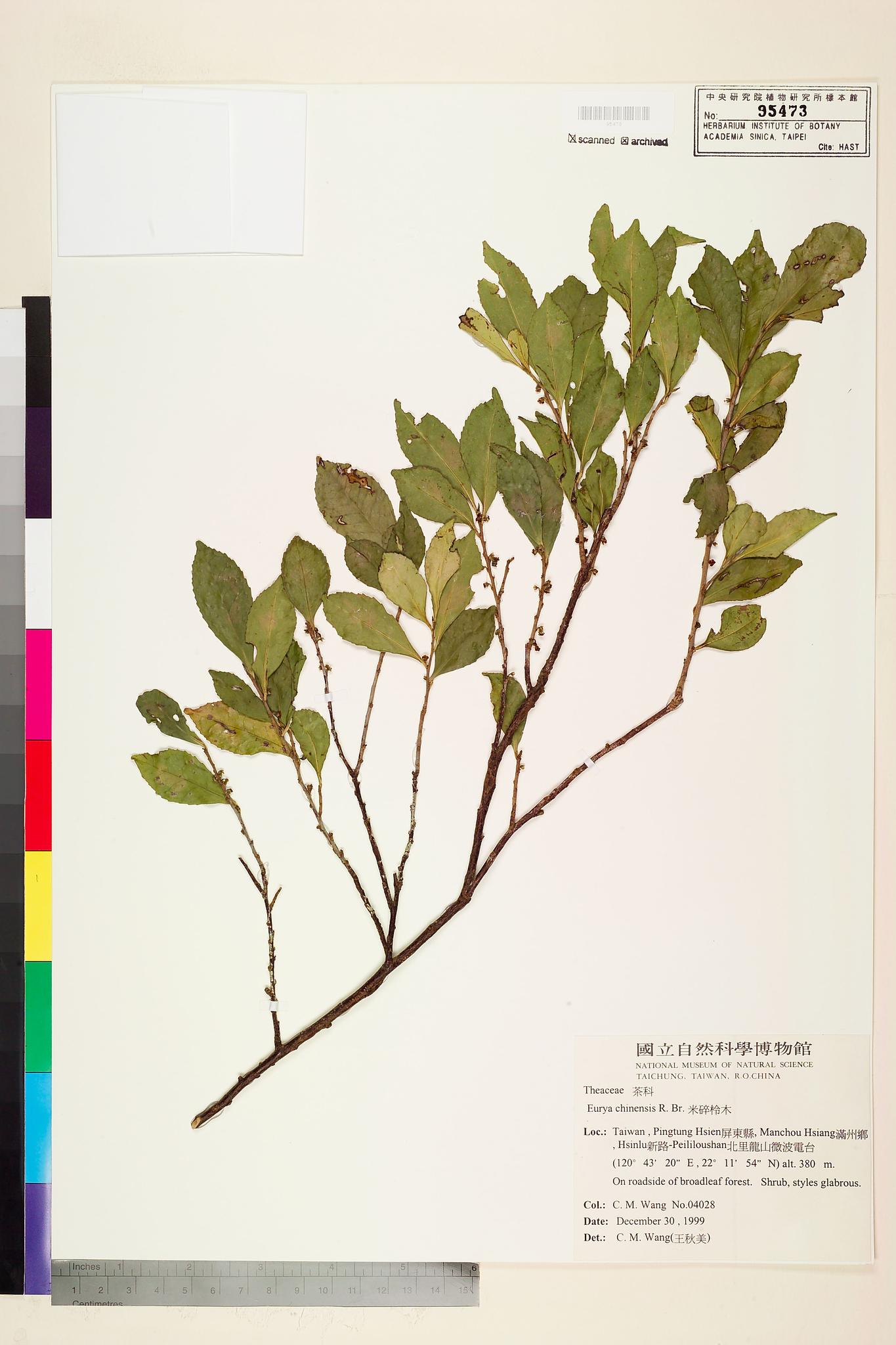 Sample image for viewer