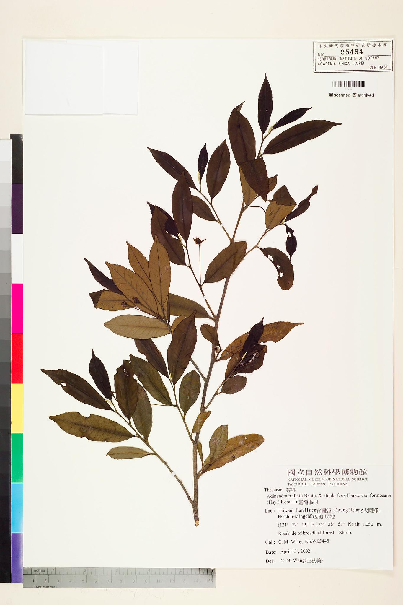 Sample image for viewer