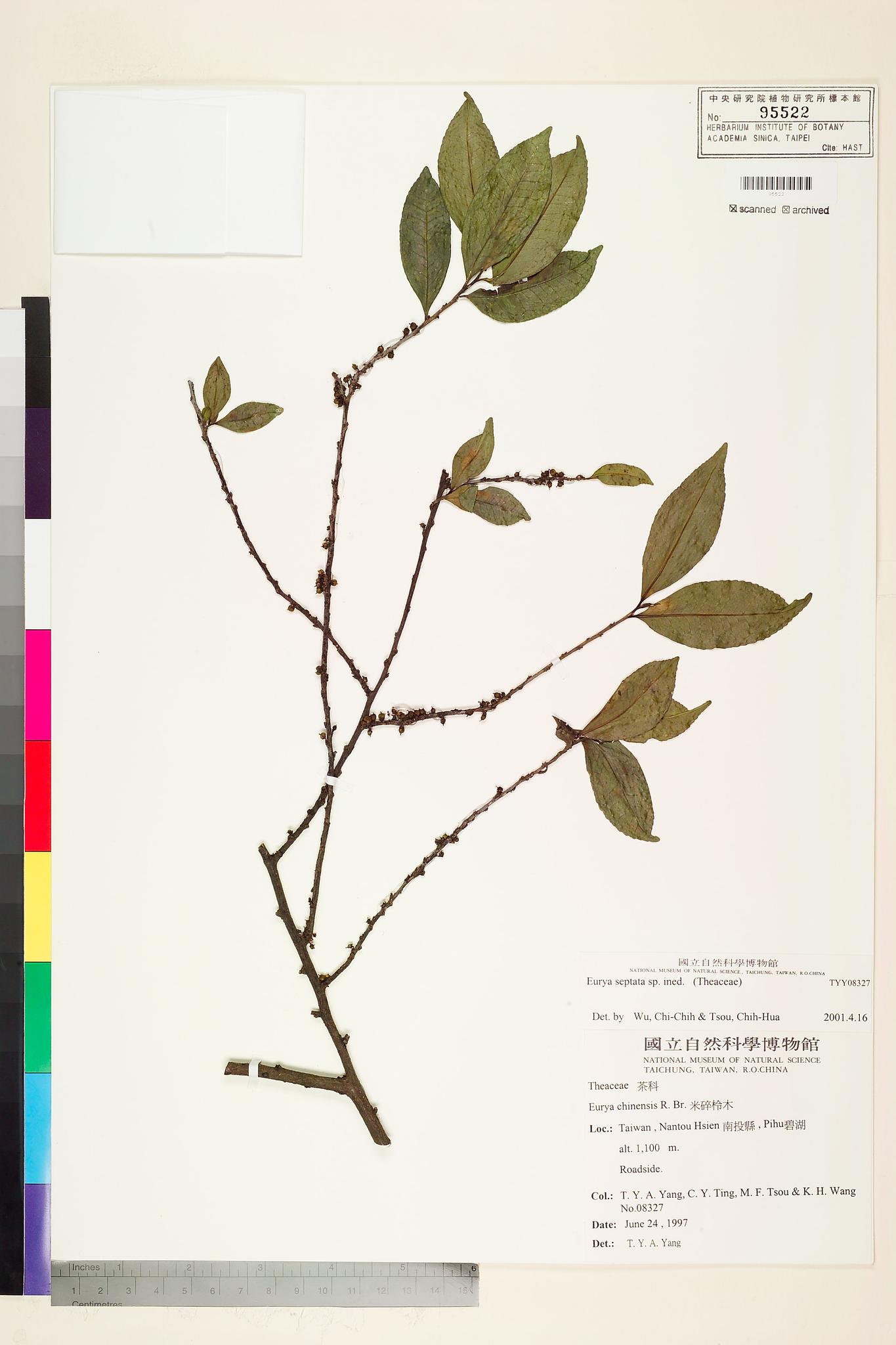 Sample image for viewer