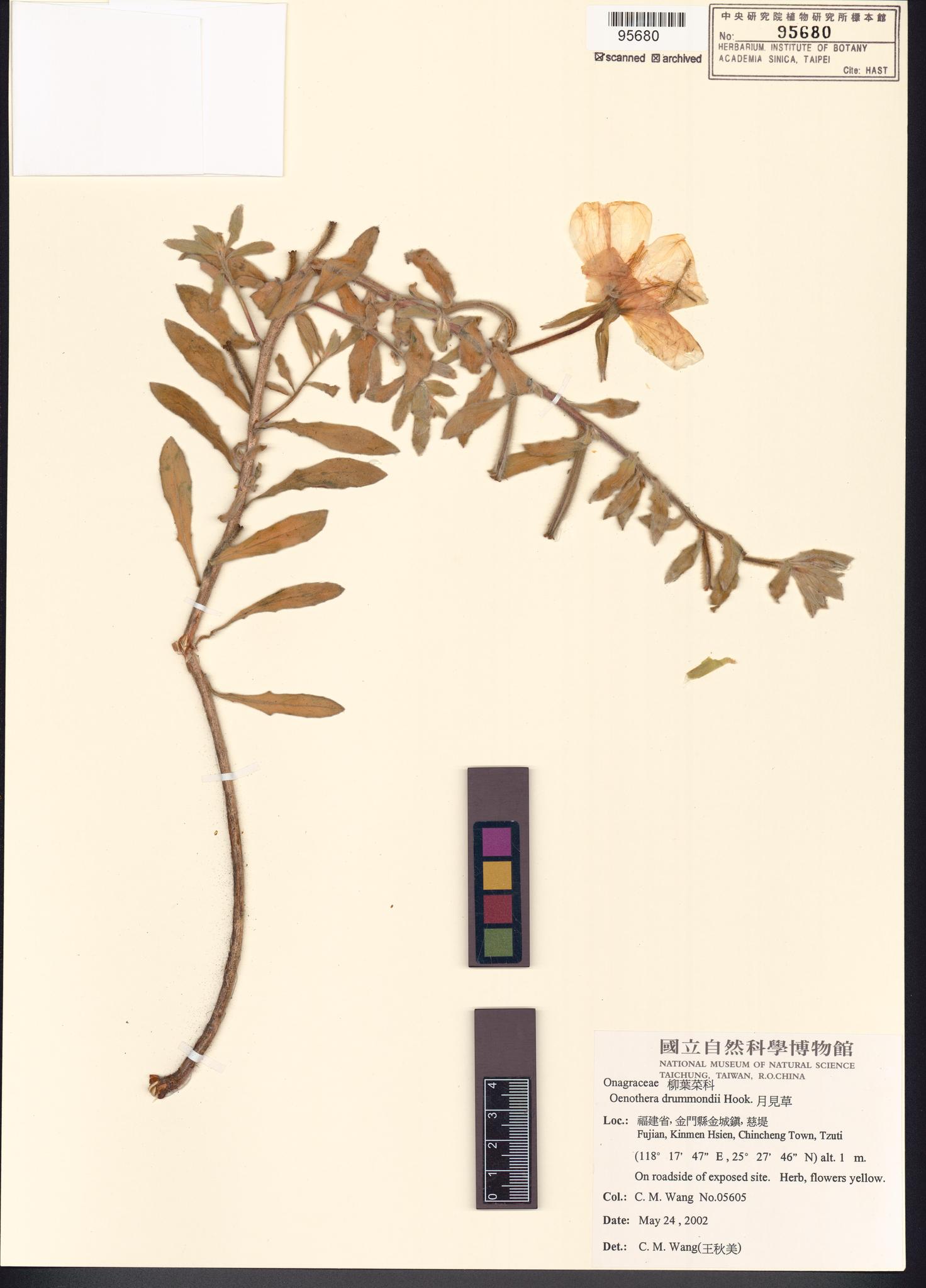 Sample image for viewer