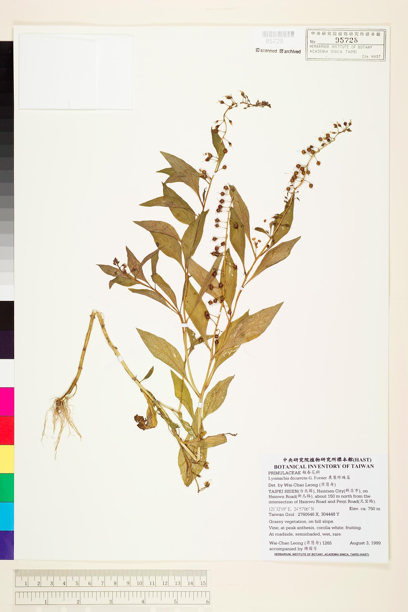 Sample image for viewer