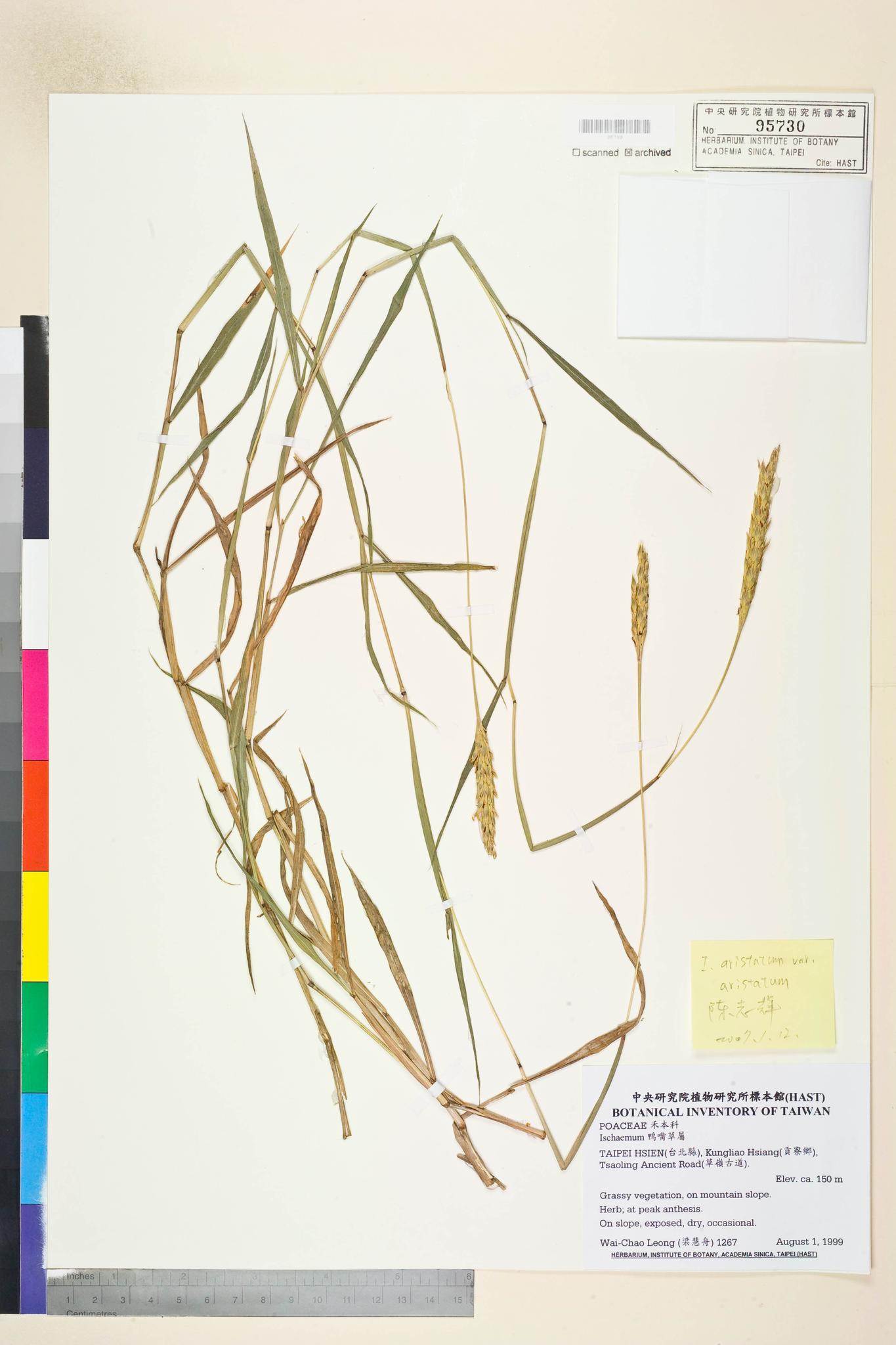 Sample image for viewer