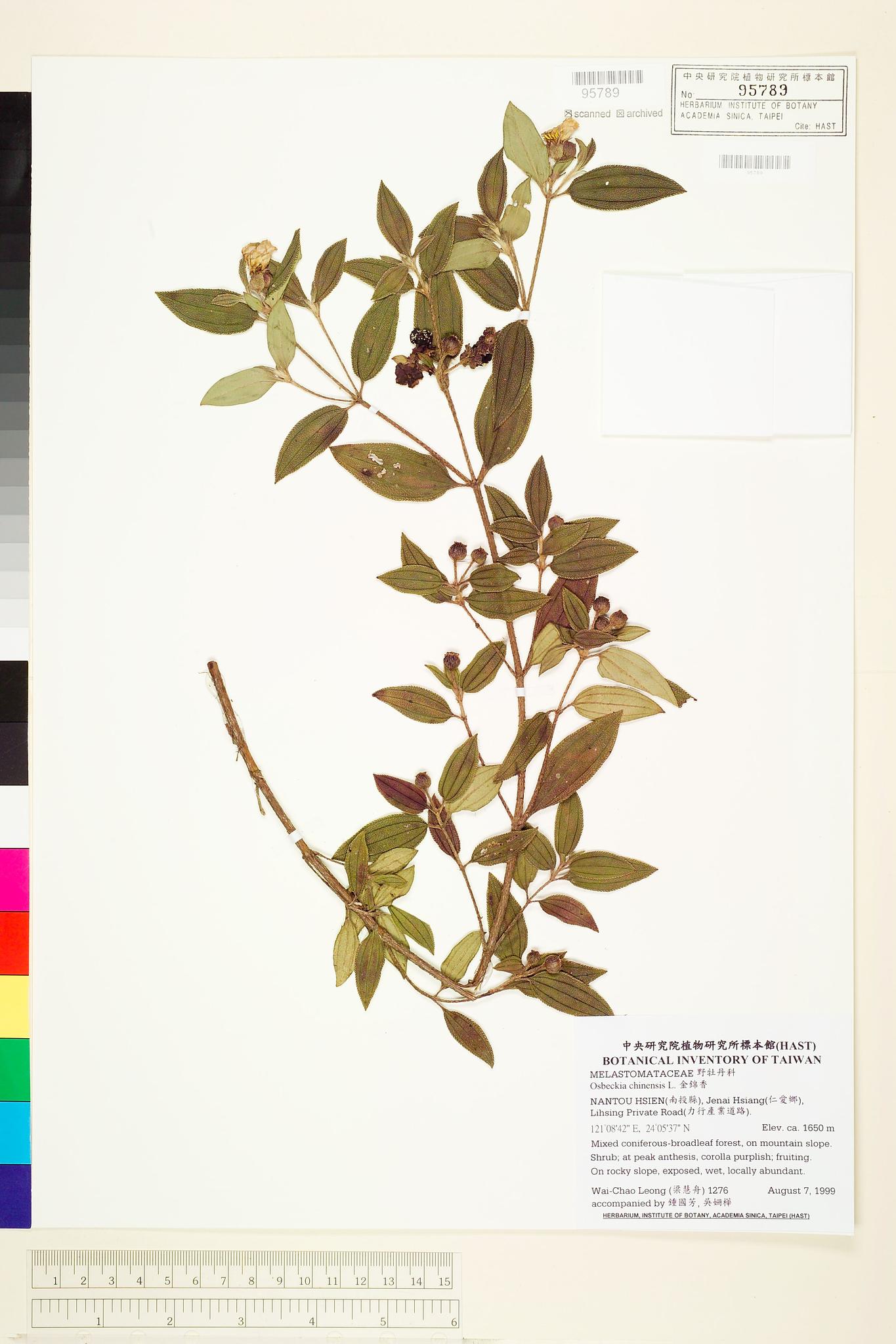 Sample image for viewer