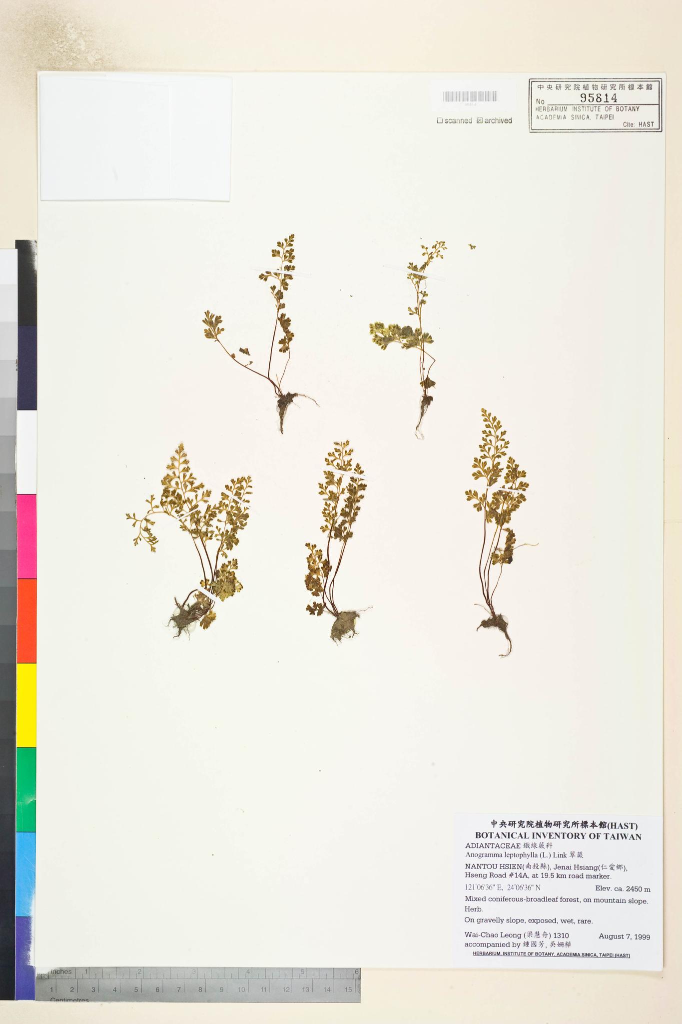 Sample image for viewer