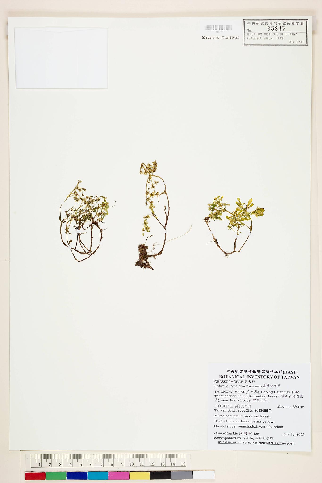 Sample image for viewer