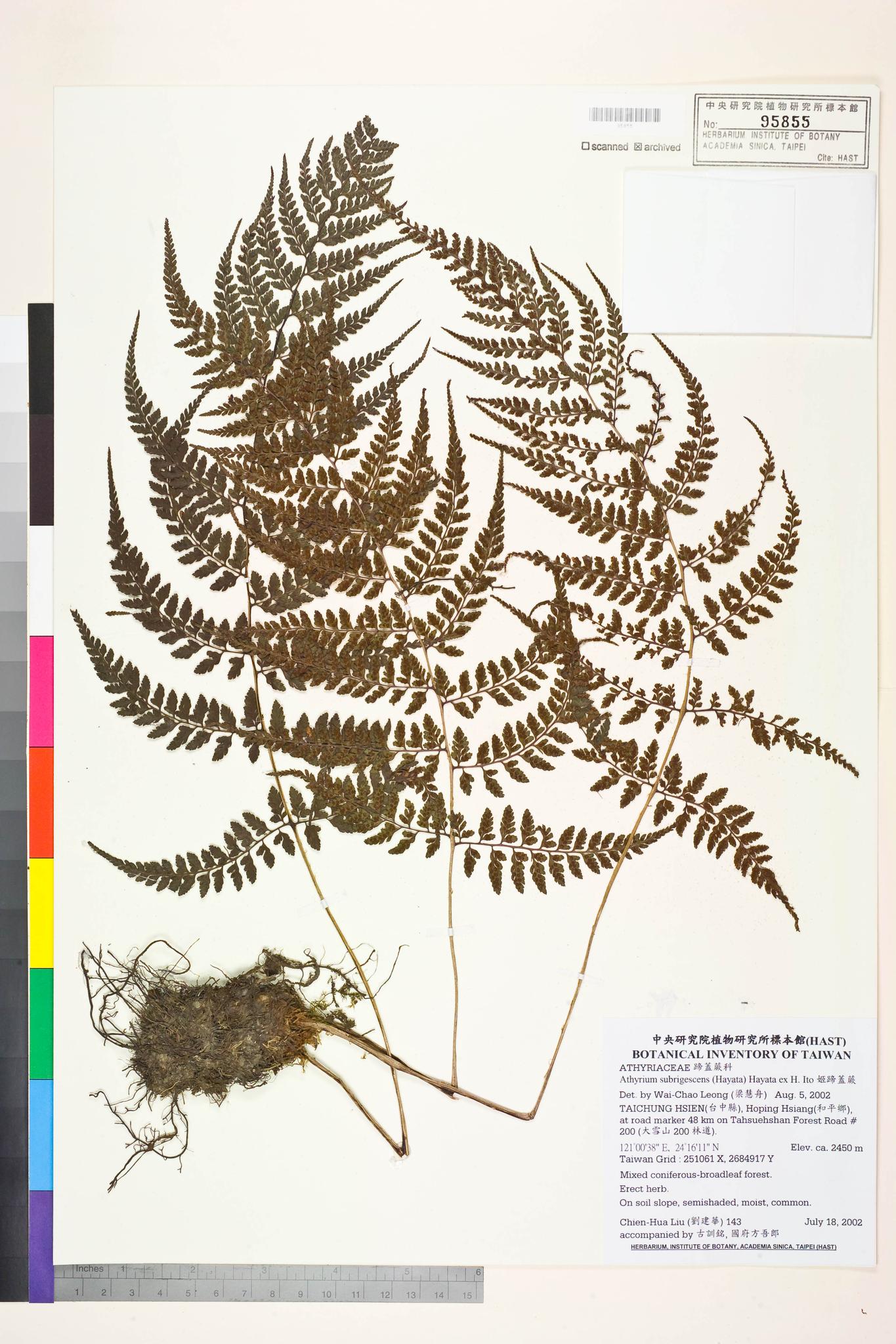 Sample image for viewer