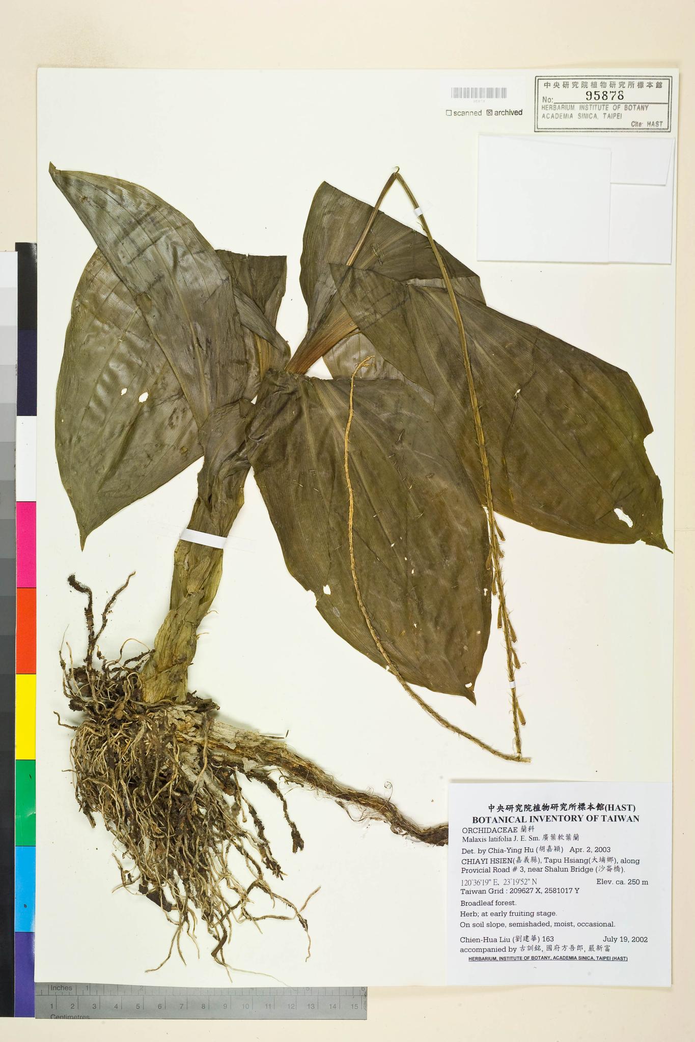 Sample image for viewer